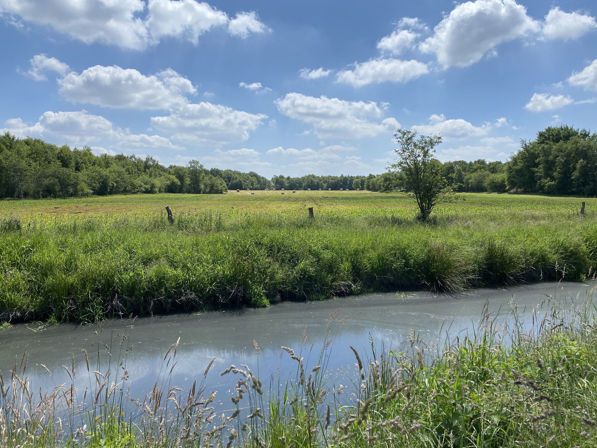 Am Abelitz-Moordorf-Kanal