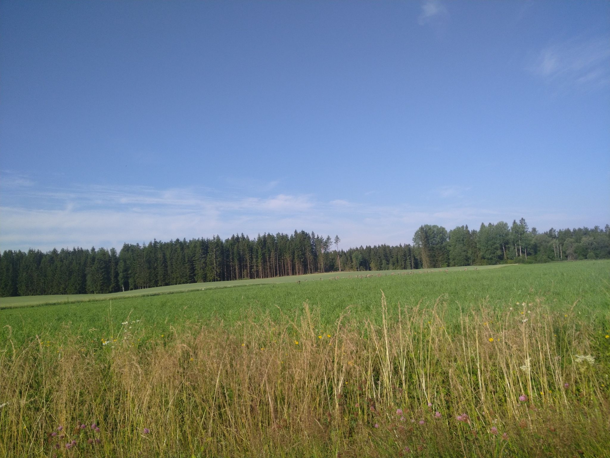 Lovely view