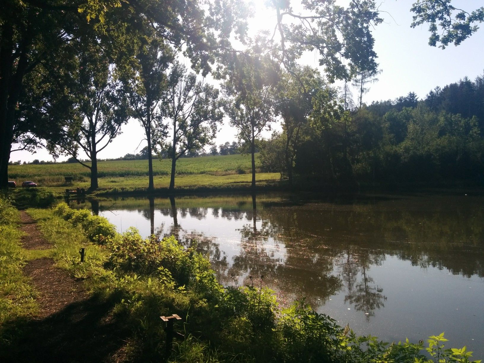 rybník