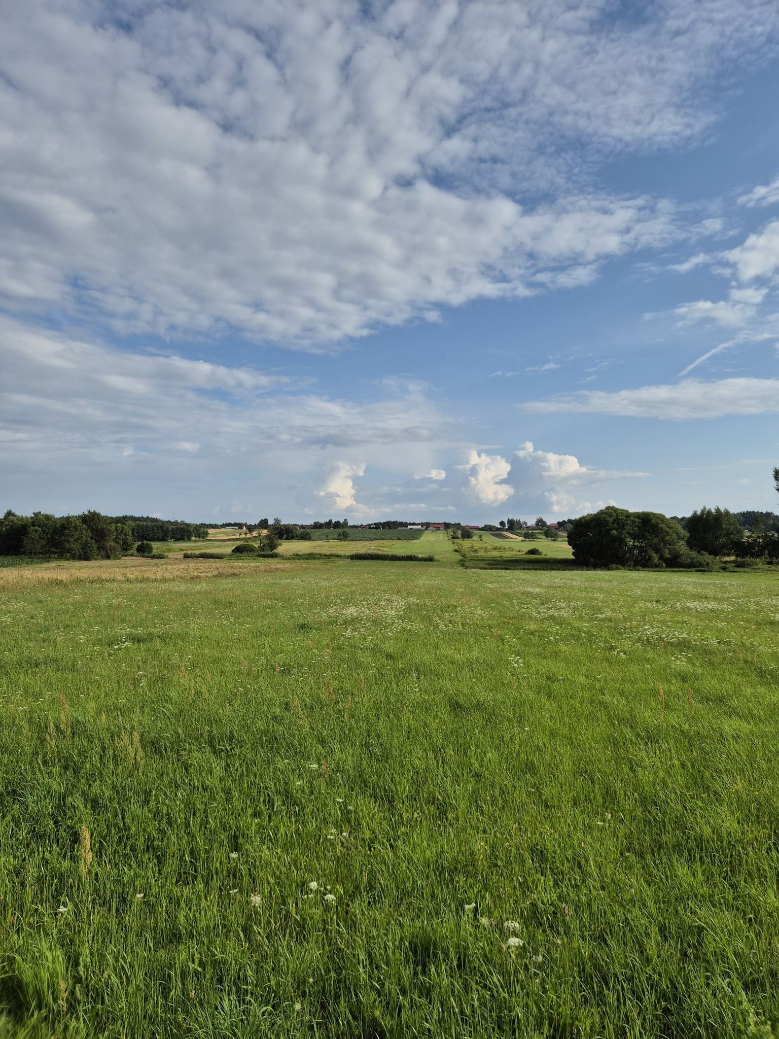 Widok na Dolinę Śmierdziąkwy
