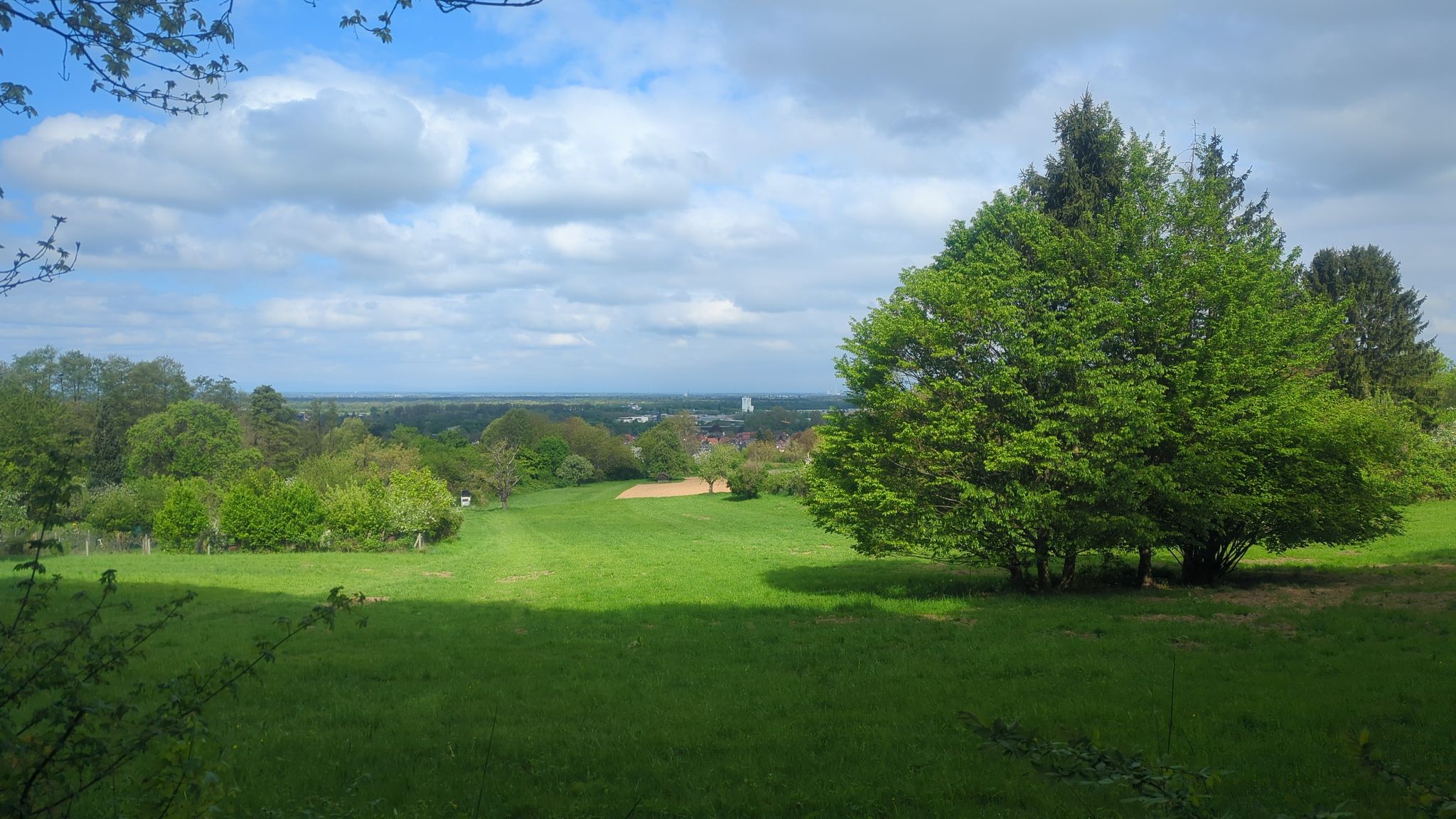 Aussicht in die Rheinebene beim Rentnerbänkle👀
