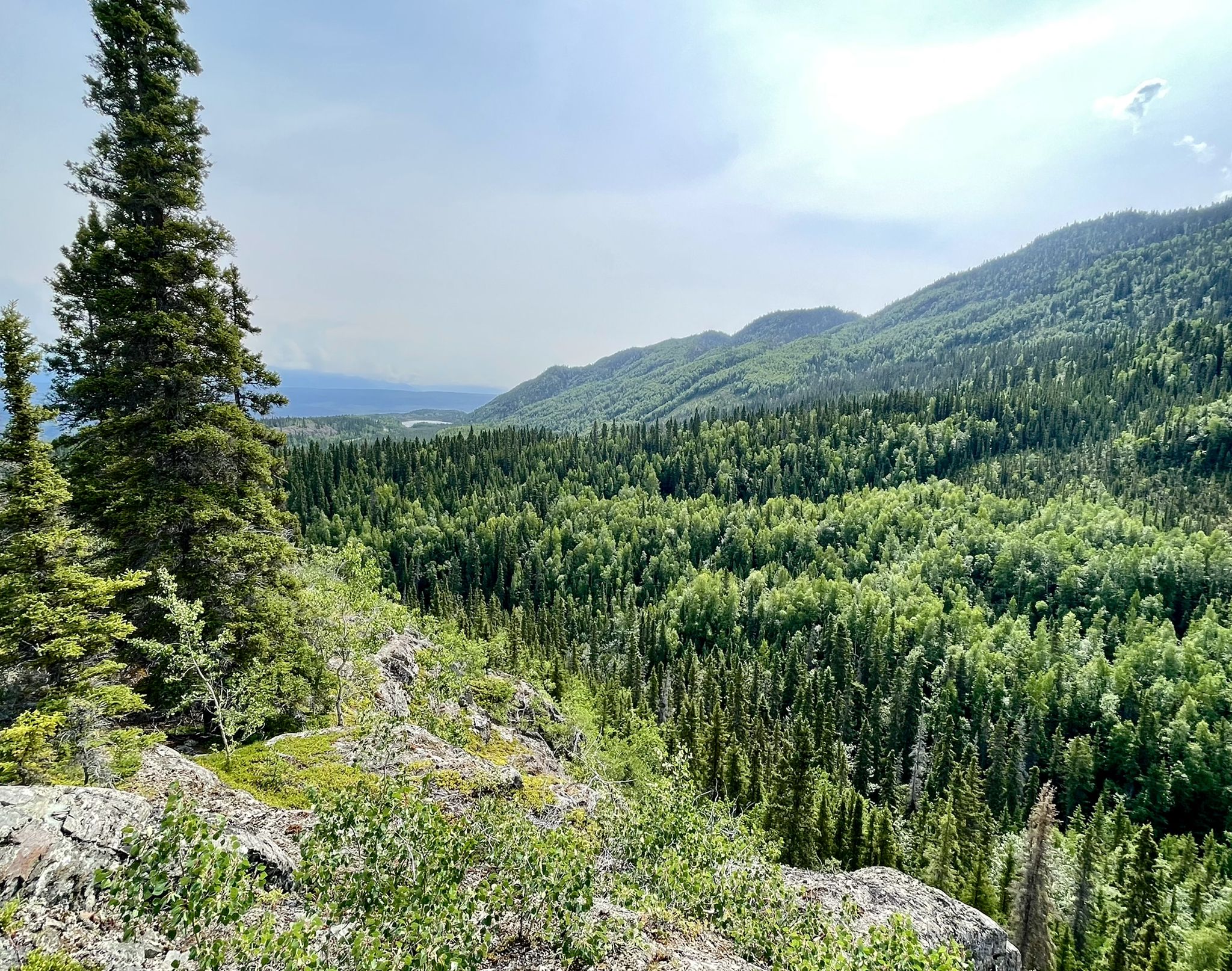 Vast green forest fills a valley, with mountains under a bright, cloudy sky. - Liberty Falls Trail