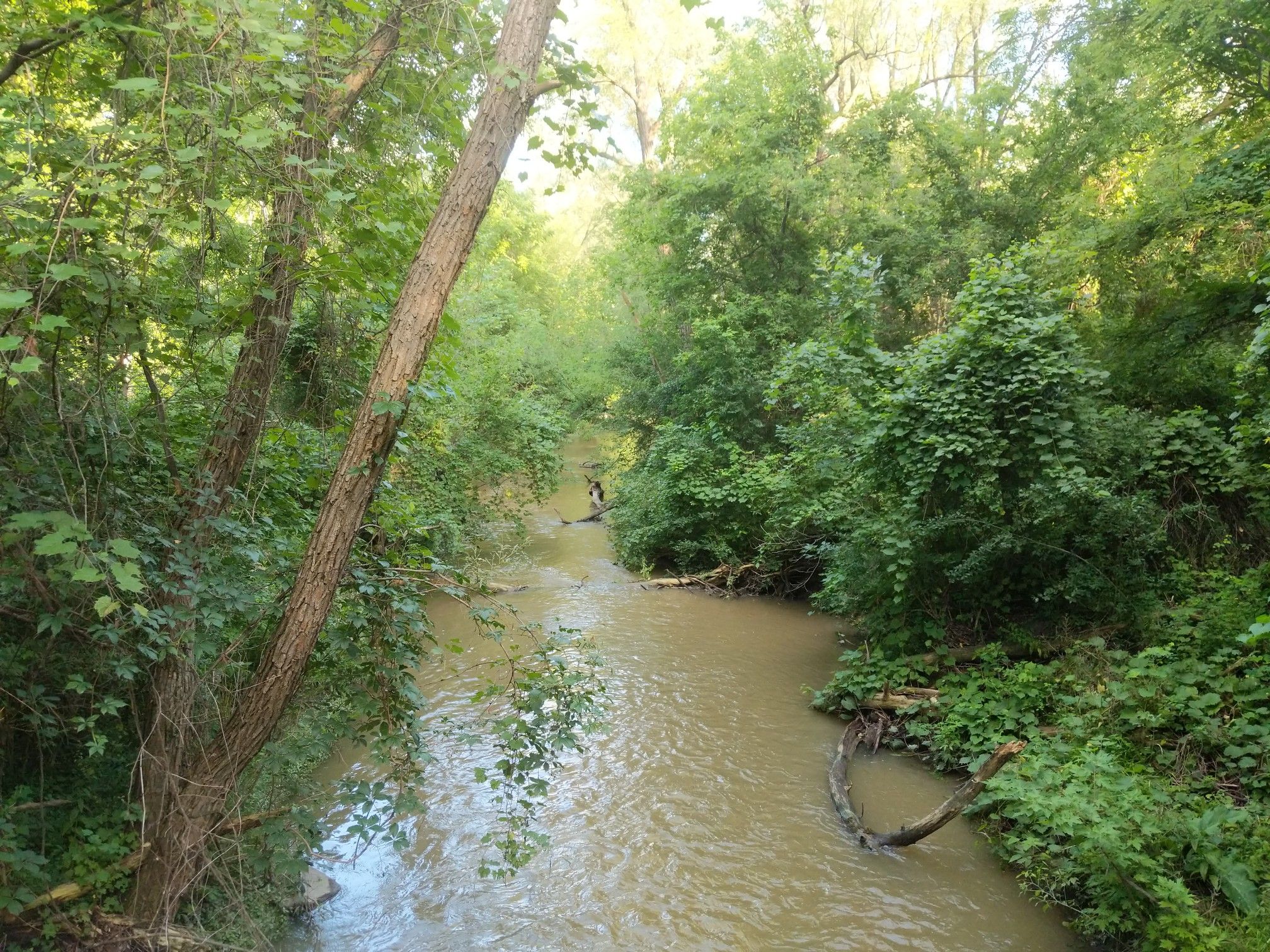 river