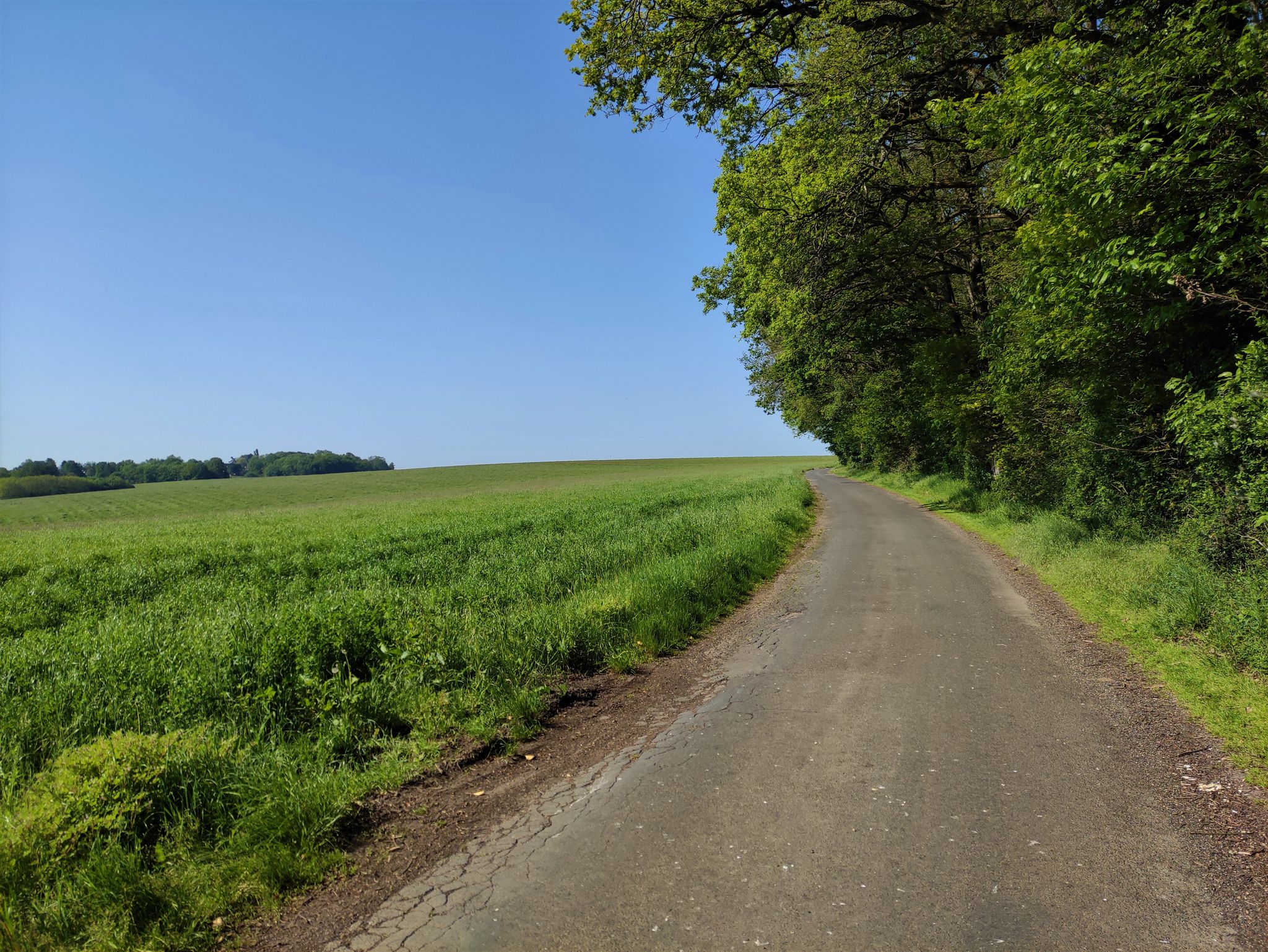 Début du plat pays