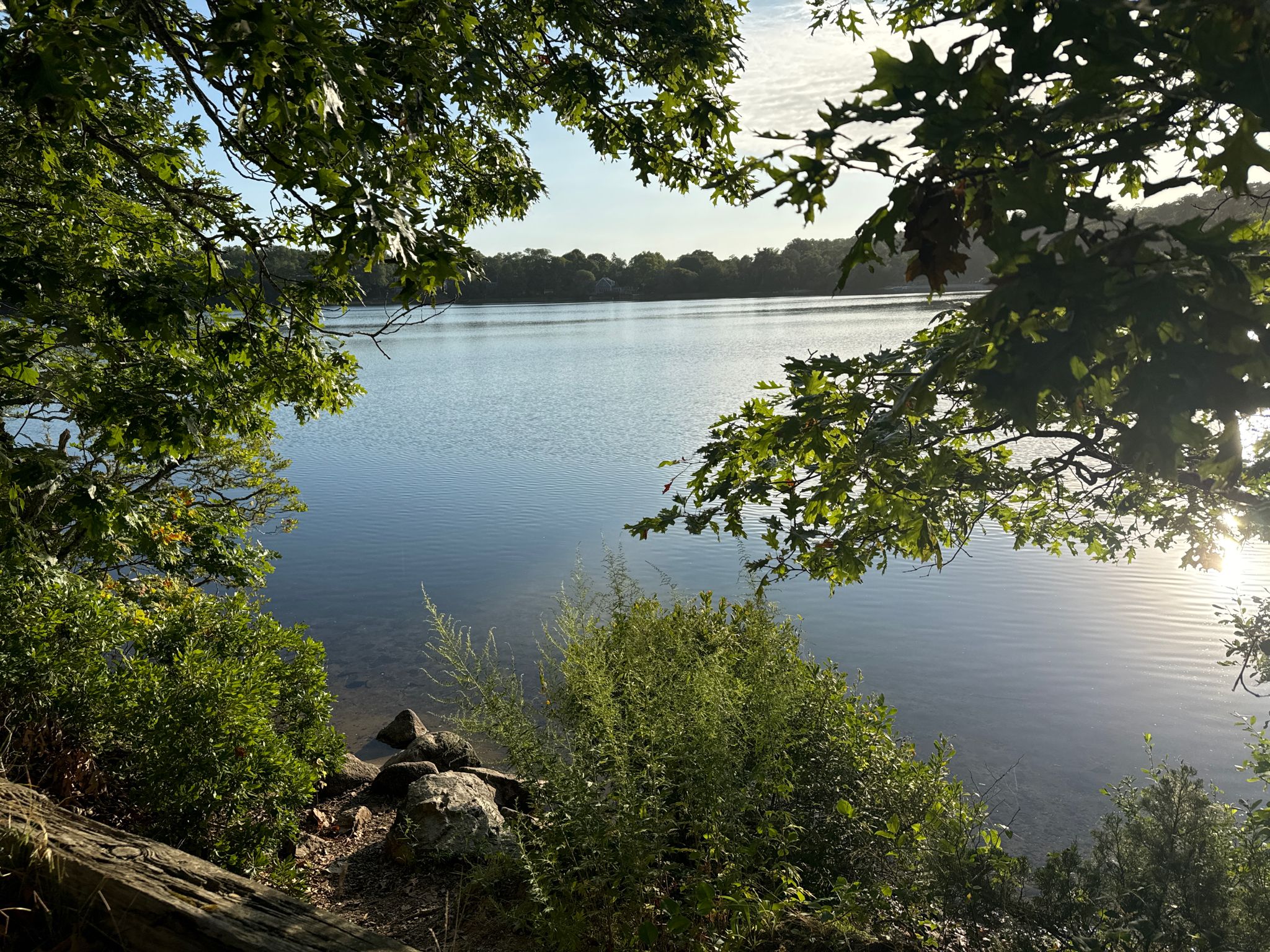 A calm lake framed by green trees, with sunlight reflecting on the water. - Arnold's Lobster & Clam Bar – Windmill Green (Eastham) loop from Wellfleet