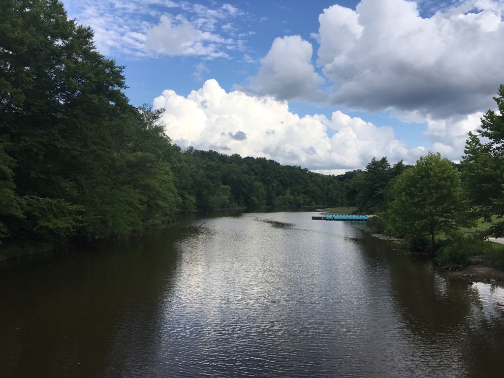Calm river surrounded by lush green trees under a partly cloudy sky. - Co-Op Trail Loop