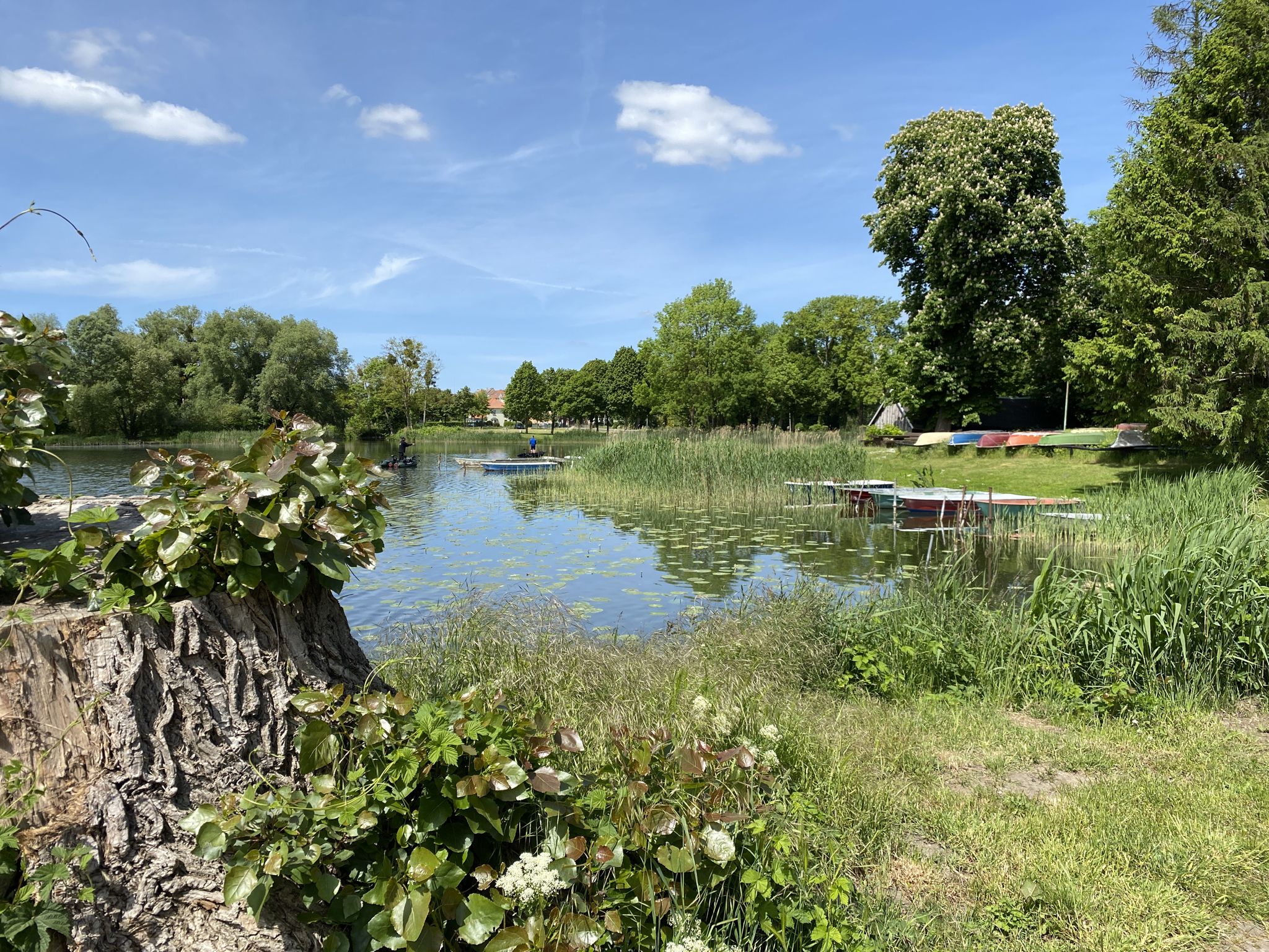Mühlenteich