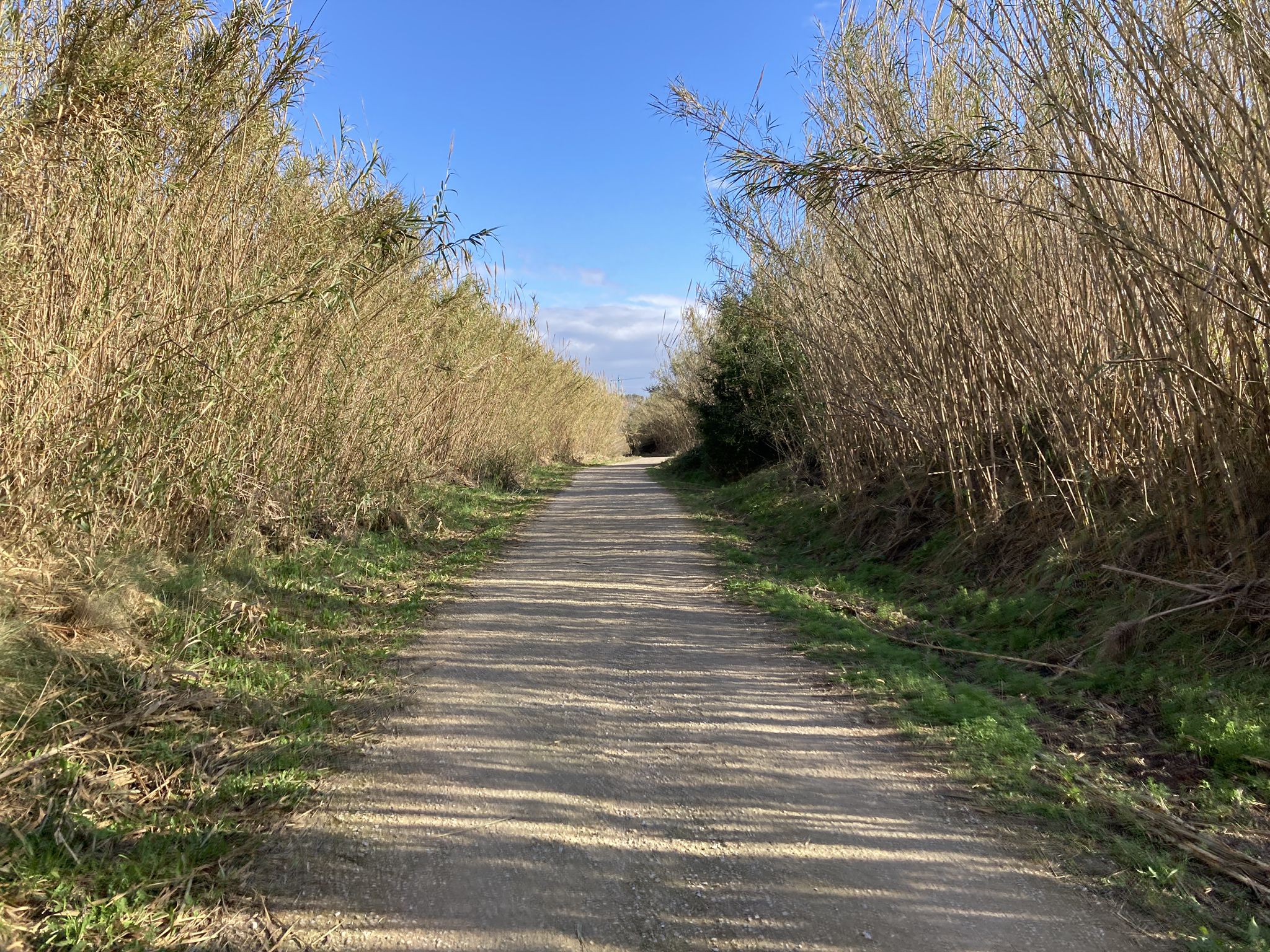 Ruta fluvial del Turia