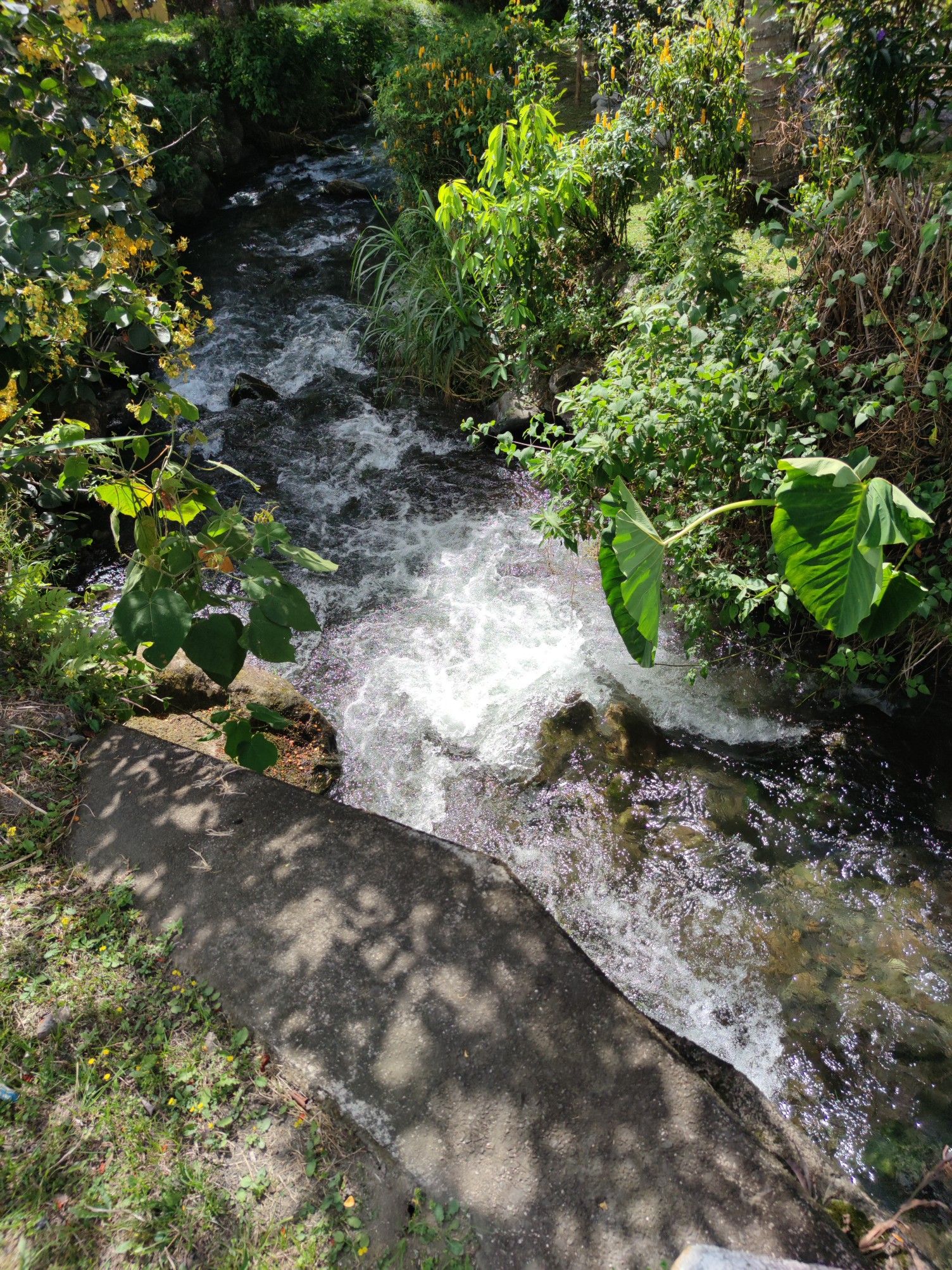 Rio Bajo Grande