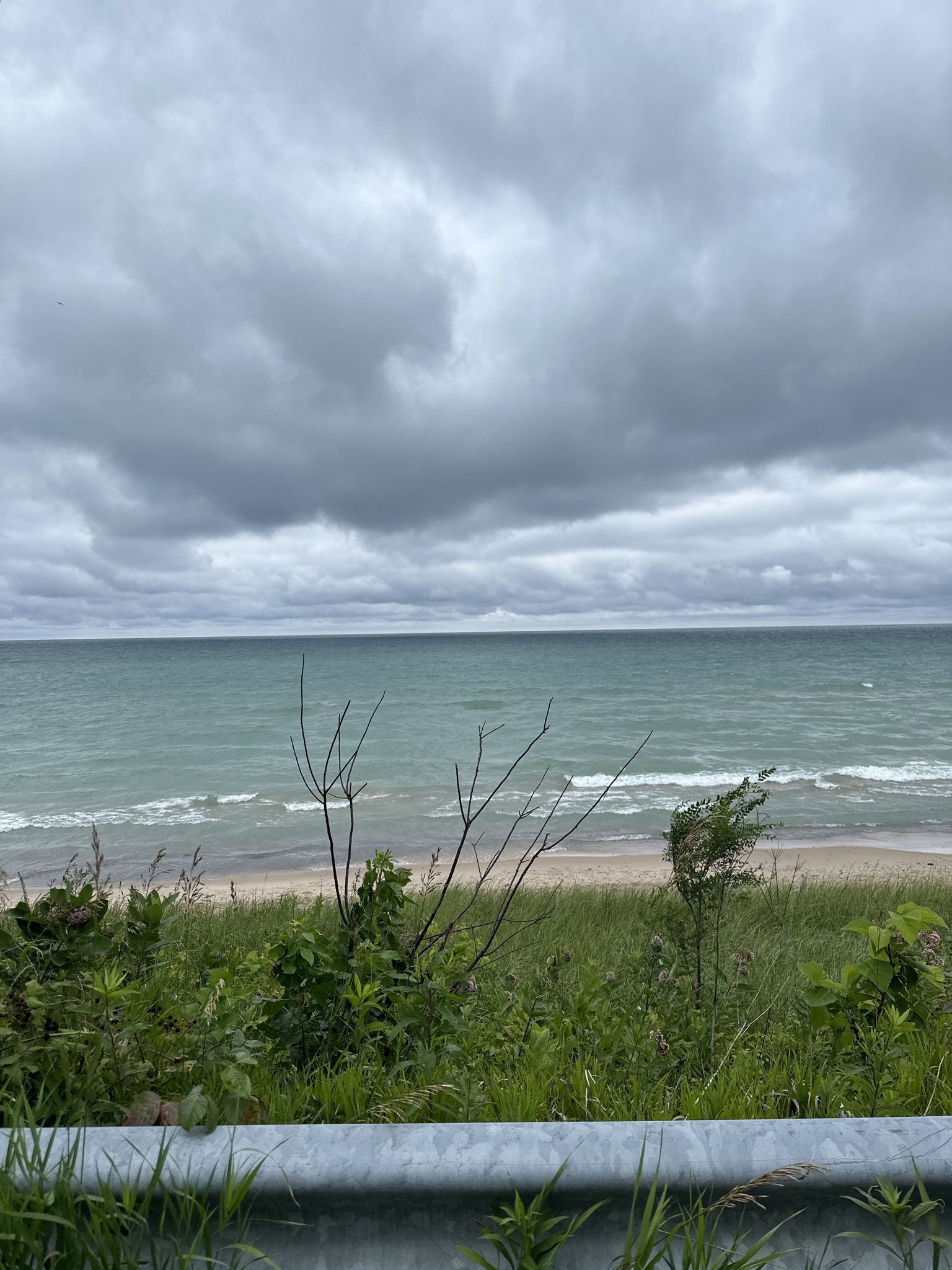Overcast view of a vast body of water, beach, and green vegetation. - Dunes Long Trail: Long Beach to New Buffalo