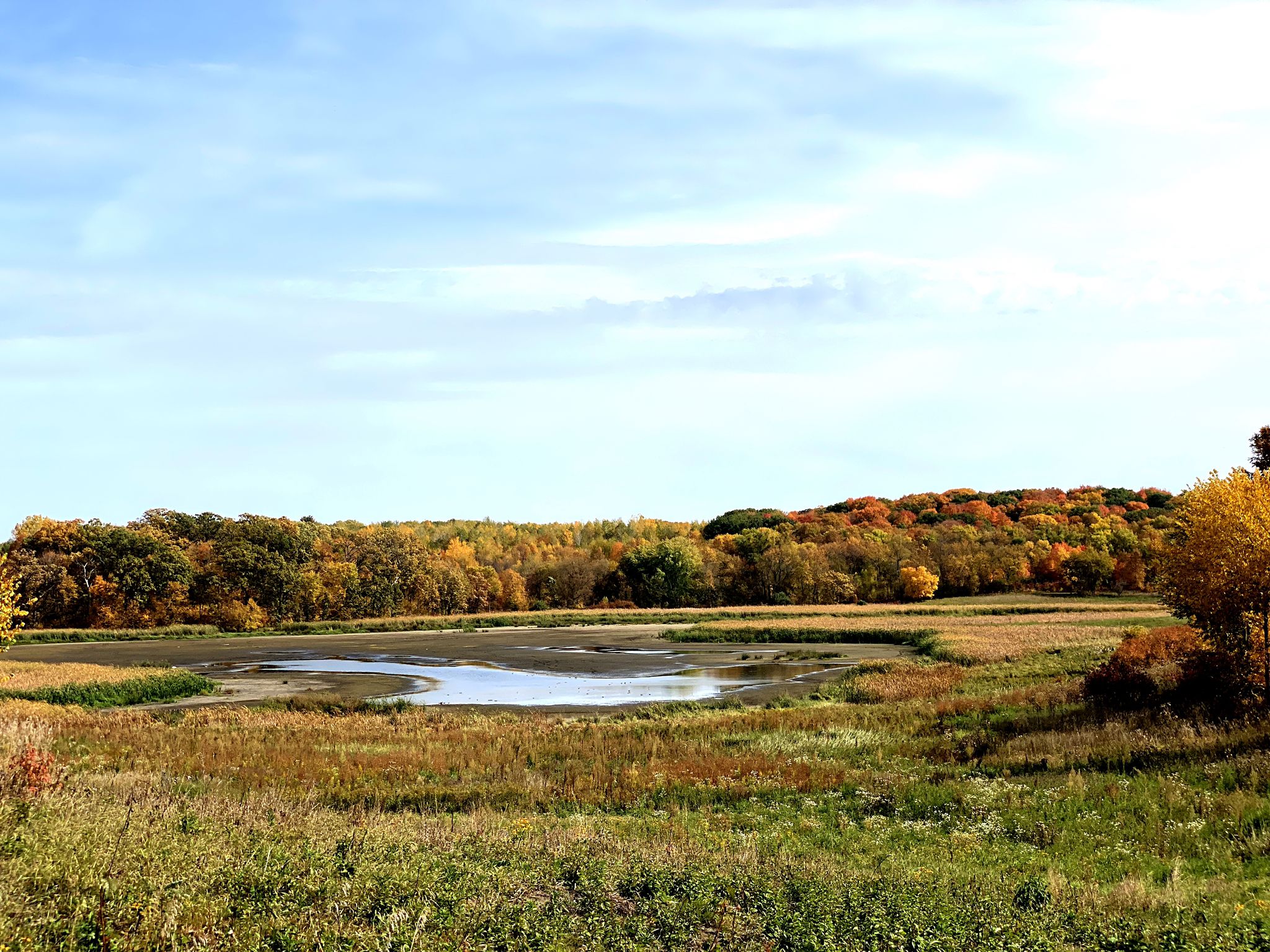 Small pond in a field with autumn trees under a blue sky. - Lake Rebecca Paved Loop