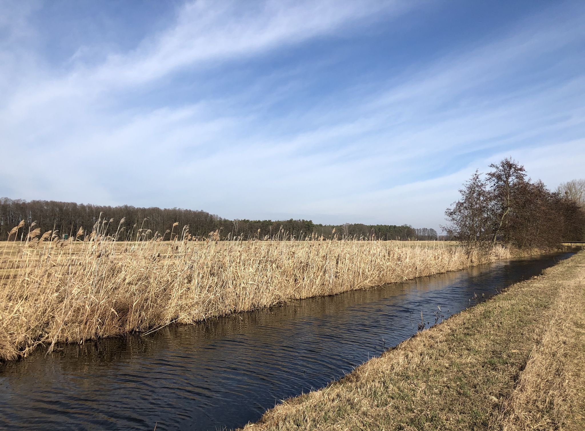 Königsgraben