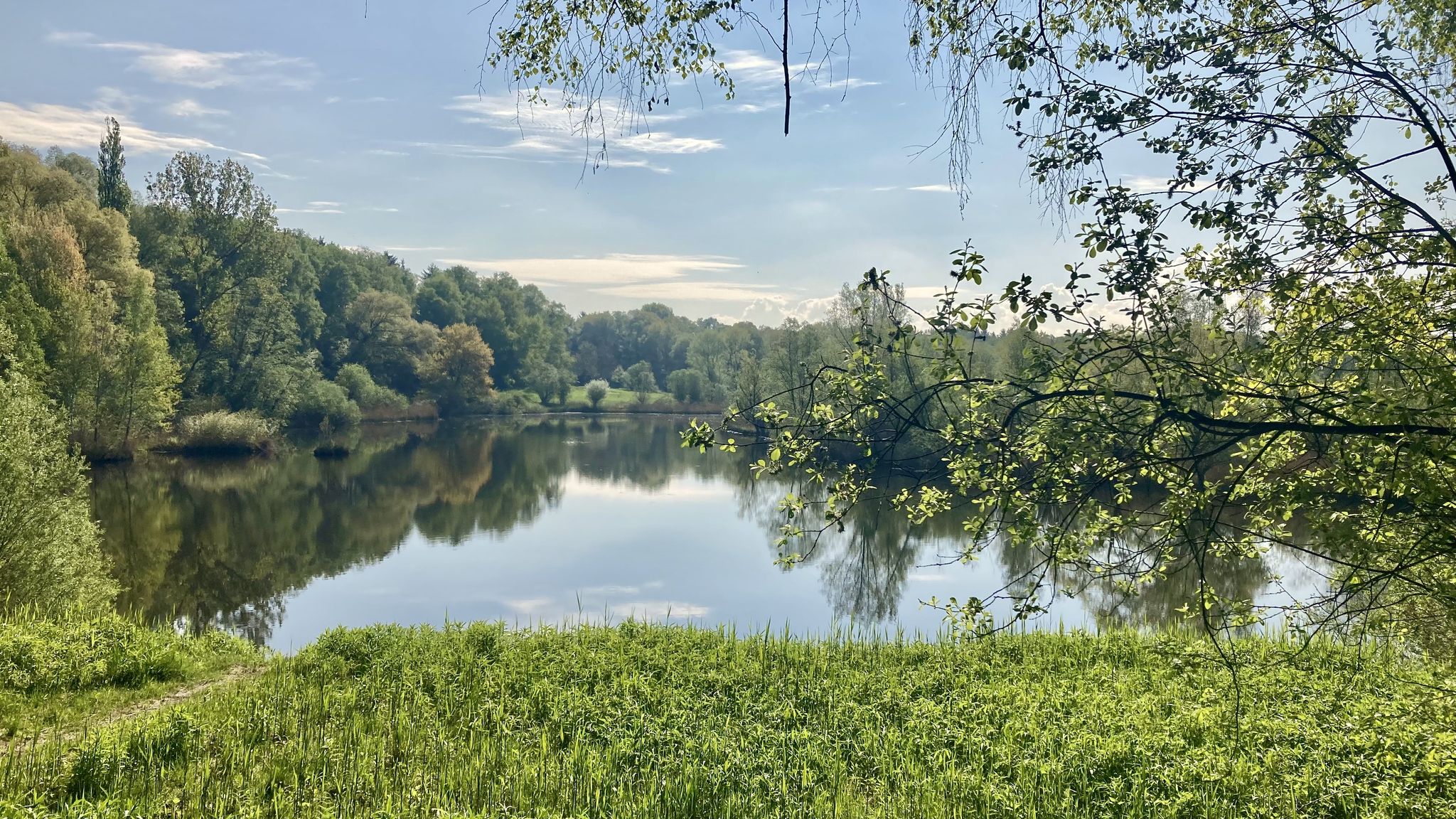 Weiher am ehemaligen Tonwerk bei Kolbermoor
