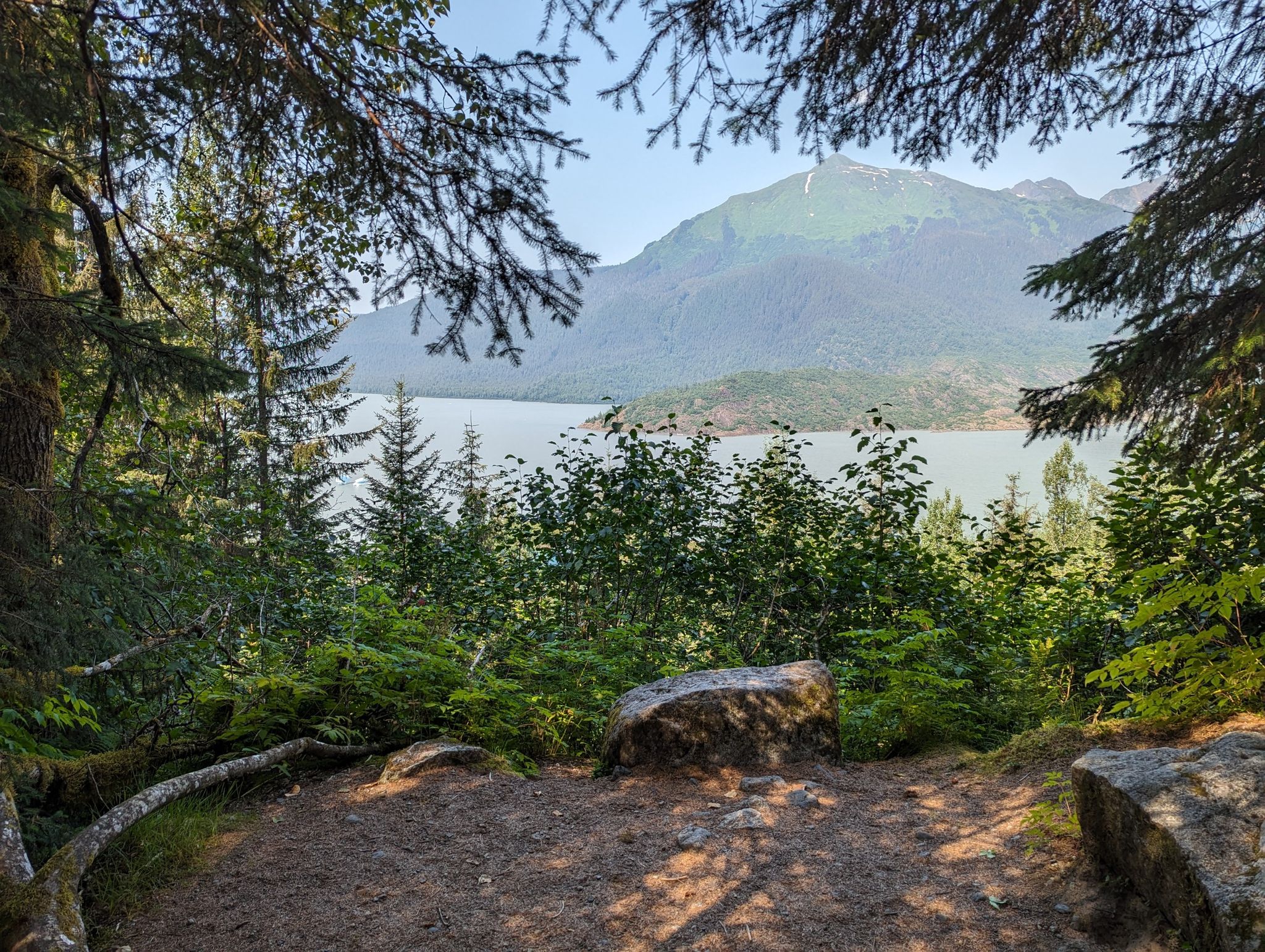 Forest clearing with a view of a lake and distant mountains under a clear sky. - East Glacier Loop and Nugget Creek Trail