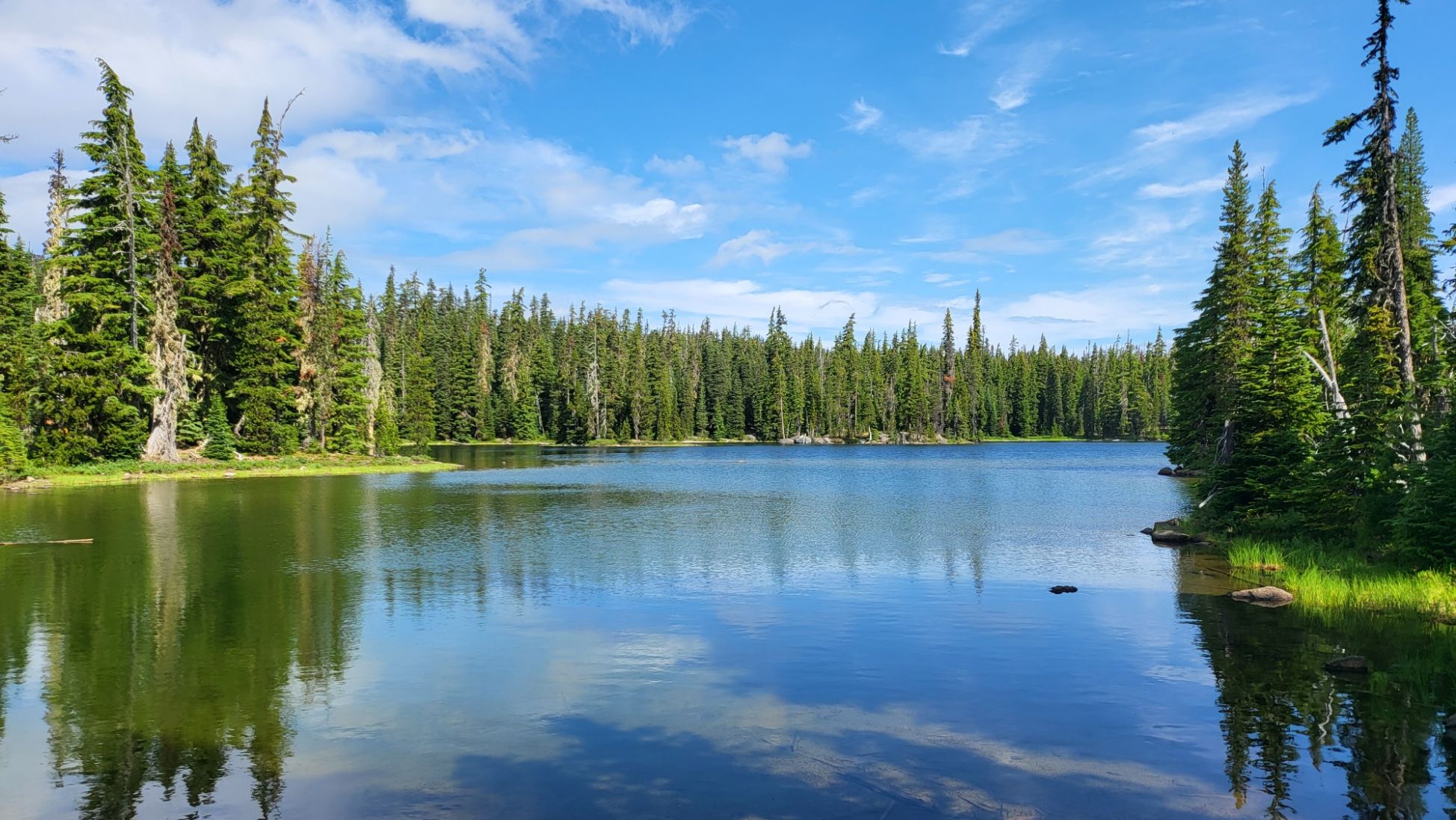 Calm lake reflecting a dense pine forest under a bright blue sky. - Brahma Lake via Pacific Crest Trail
