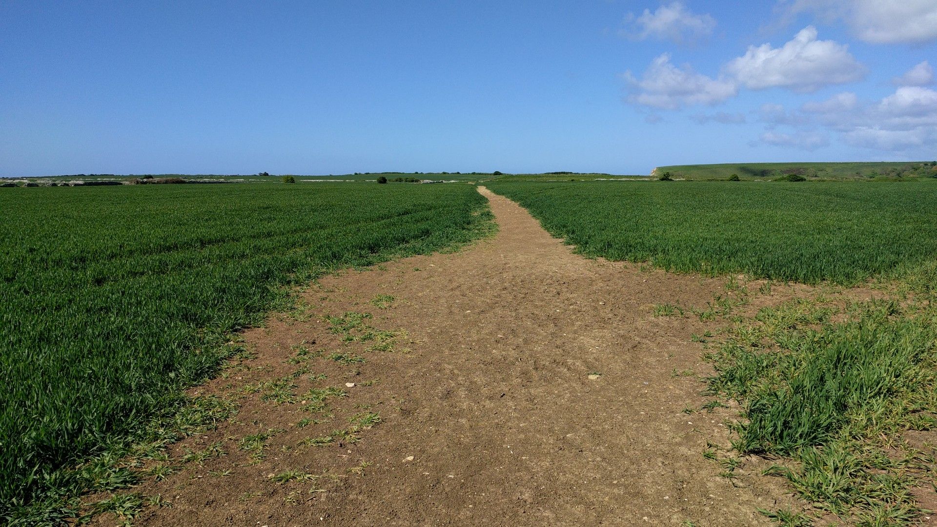 Path to Chapman's Pool