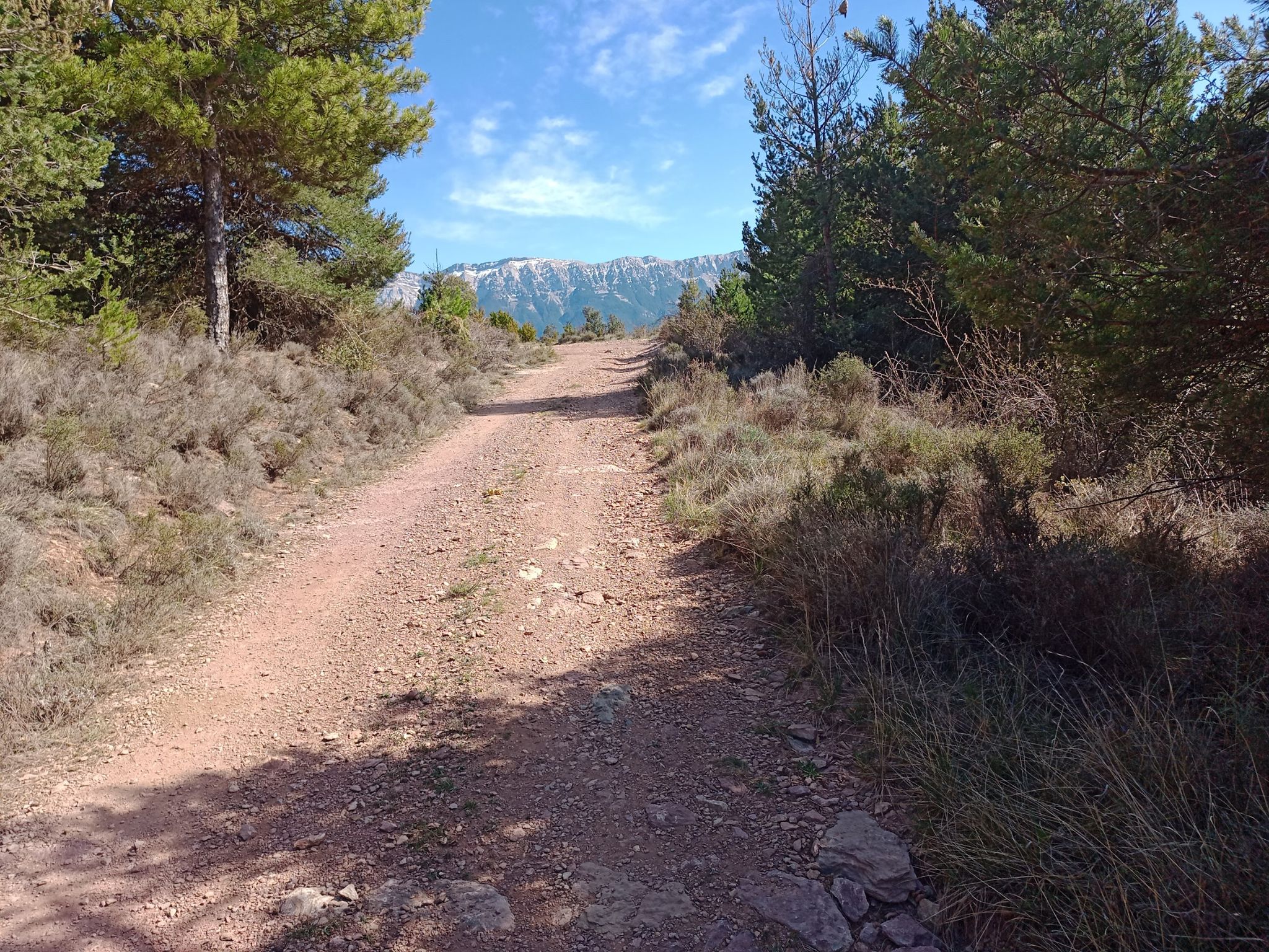 vista del Cadí pujant cap Sorri