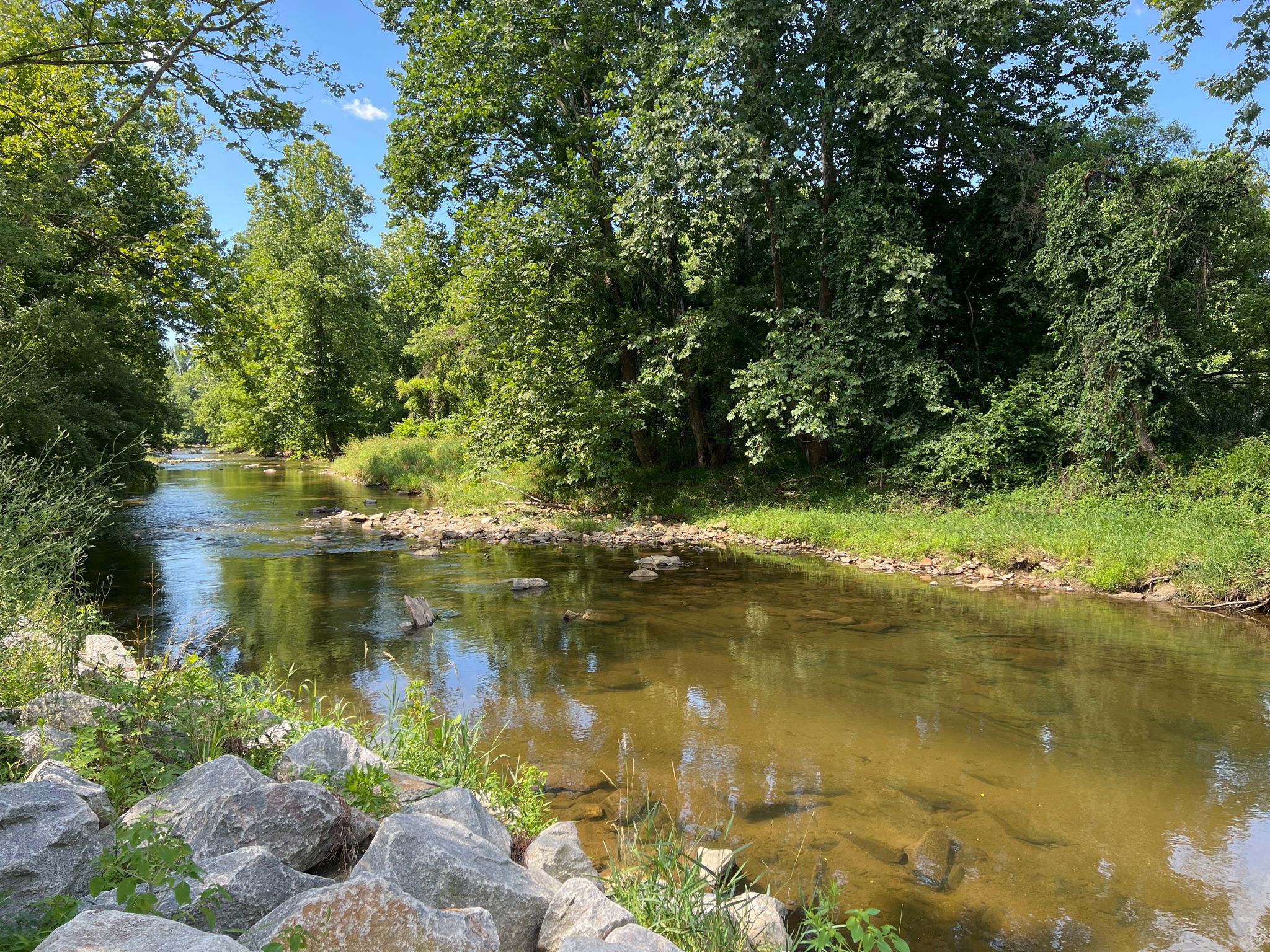 A wide, clear river with rocks and lush green trees under a bright blue sky. - Fair Hill Trailhead loop from Appleton