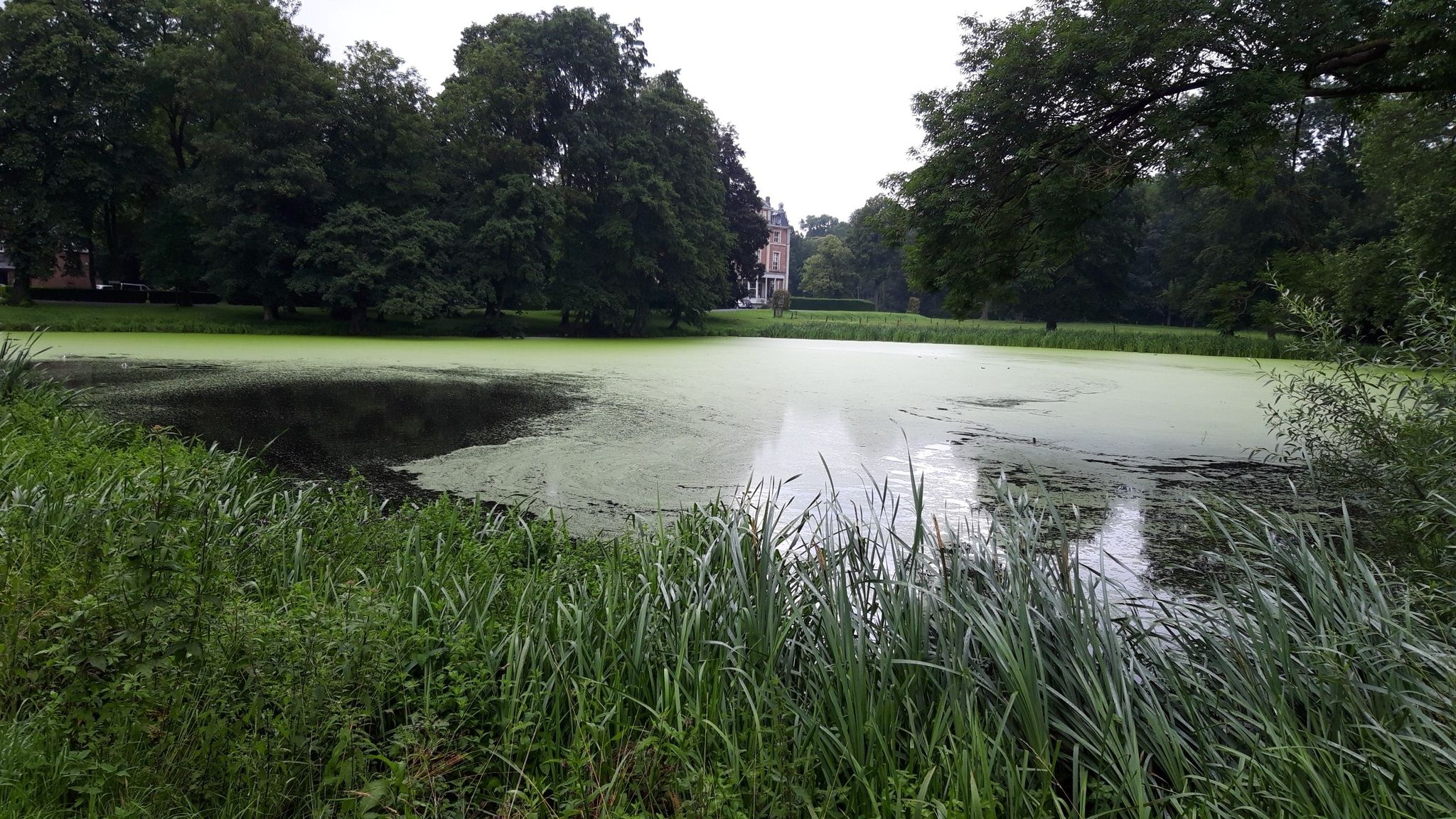 Vijverpracht rond kasteel van Lozer