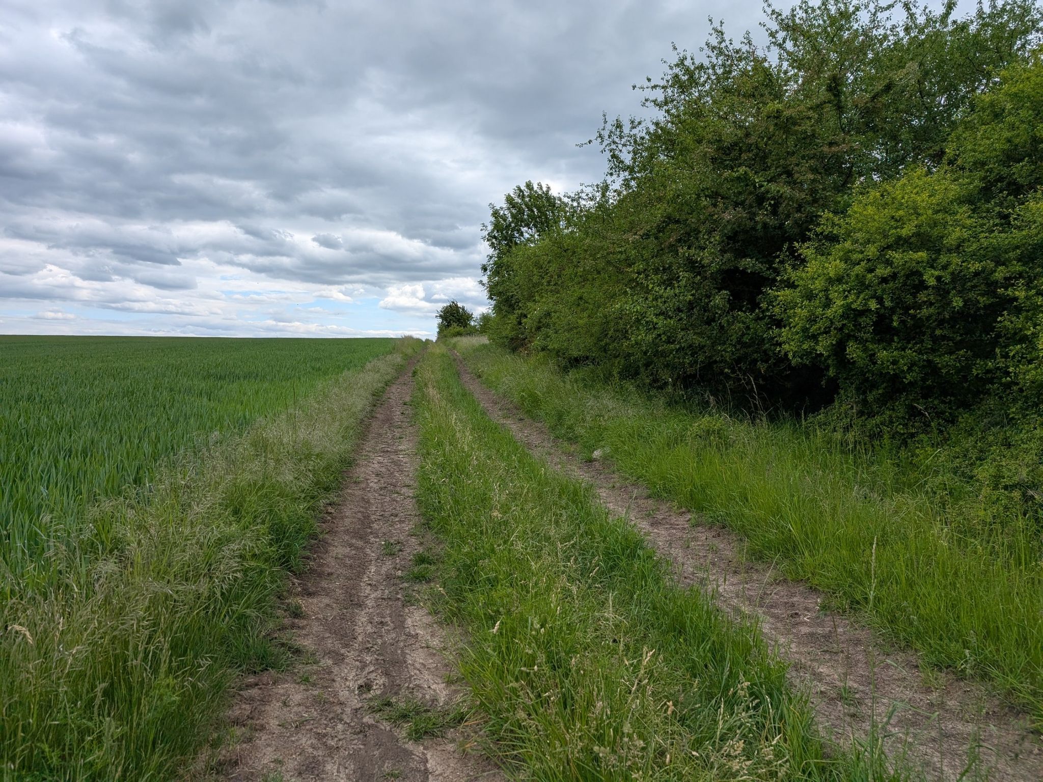 weiter auf schönen Wiesenwegen, der hier ist nicht in der Karte, aber für die eine Kachel muss ich hier lang