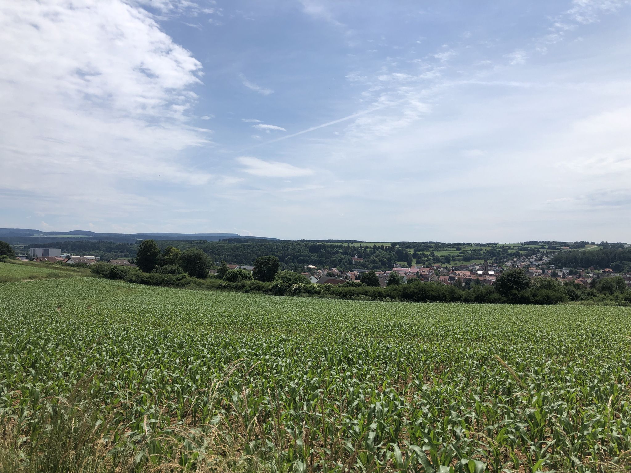 Panorama  über Bräuningen