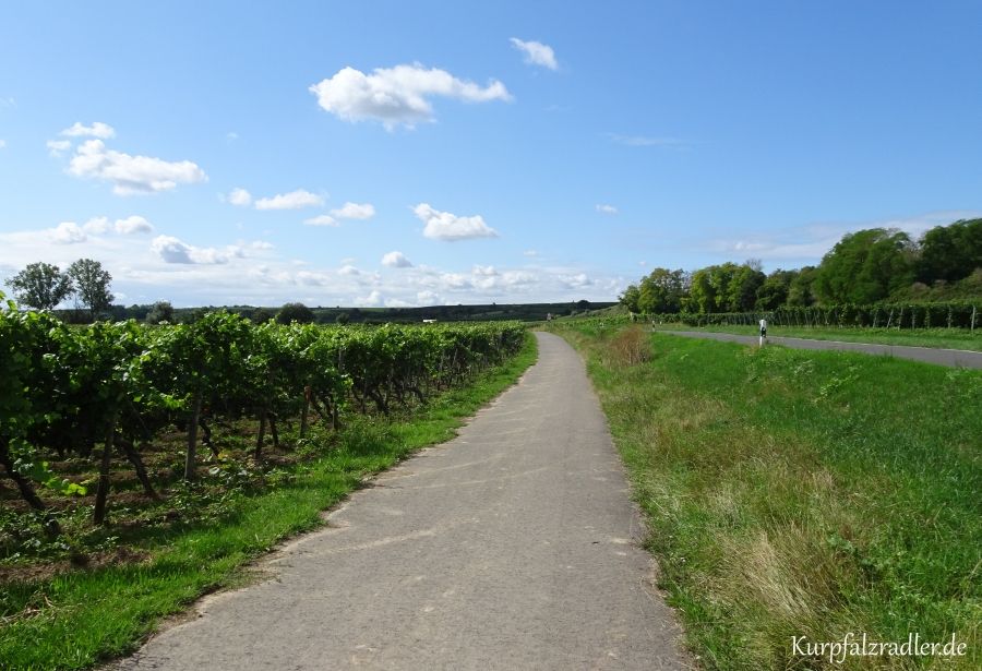 Rheinterrassen-Radweg