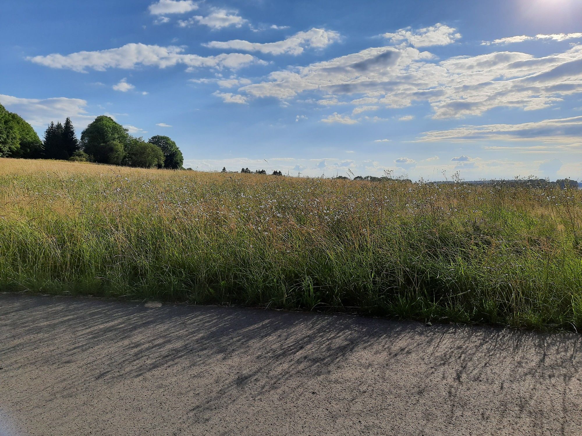 Radweg bei Zehnhausen
