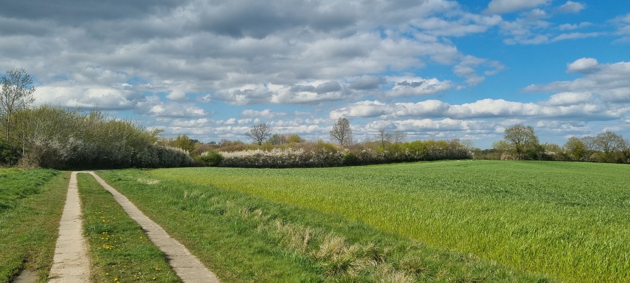 Heißweg