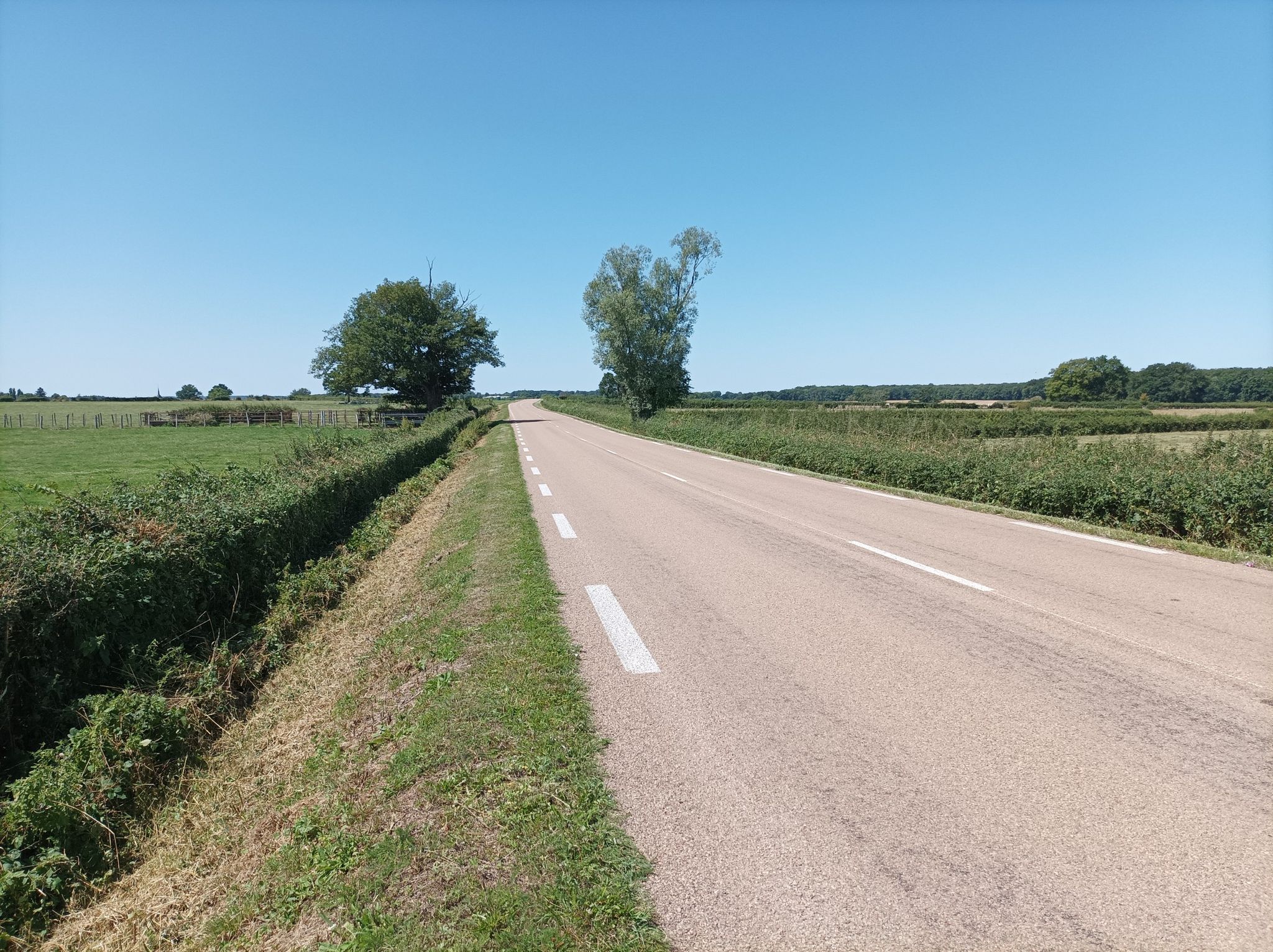 Straße mit höheren Verkehrsaufkommen