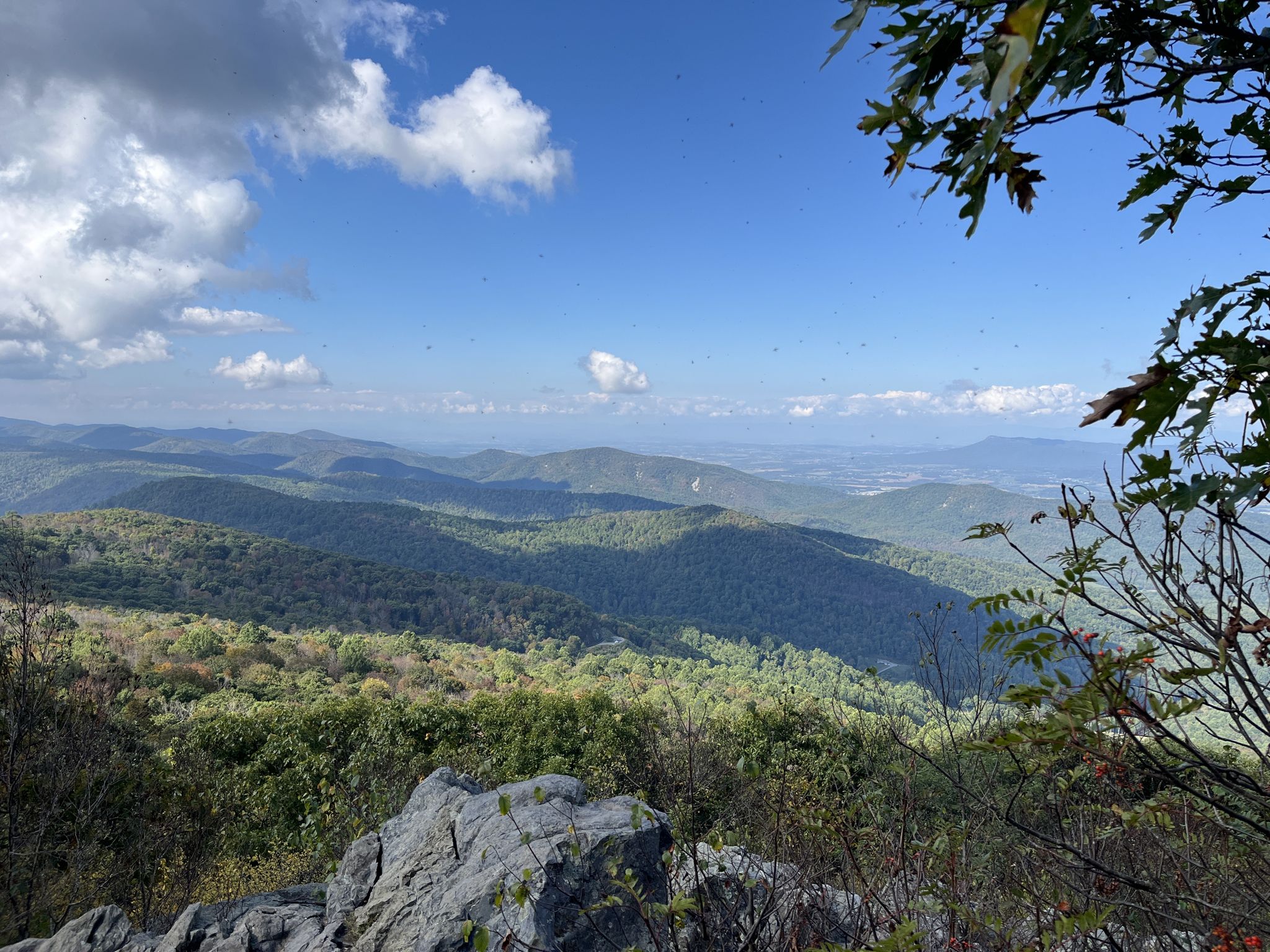 Vast mountain landscape with green forested hills under a bright, cloudy sky. - Hightop Peak Trail
