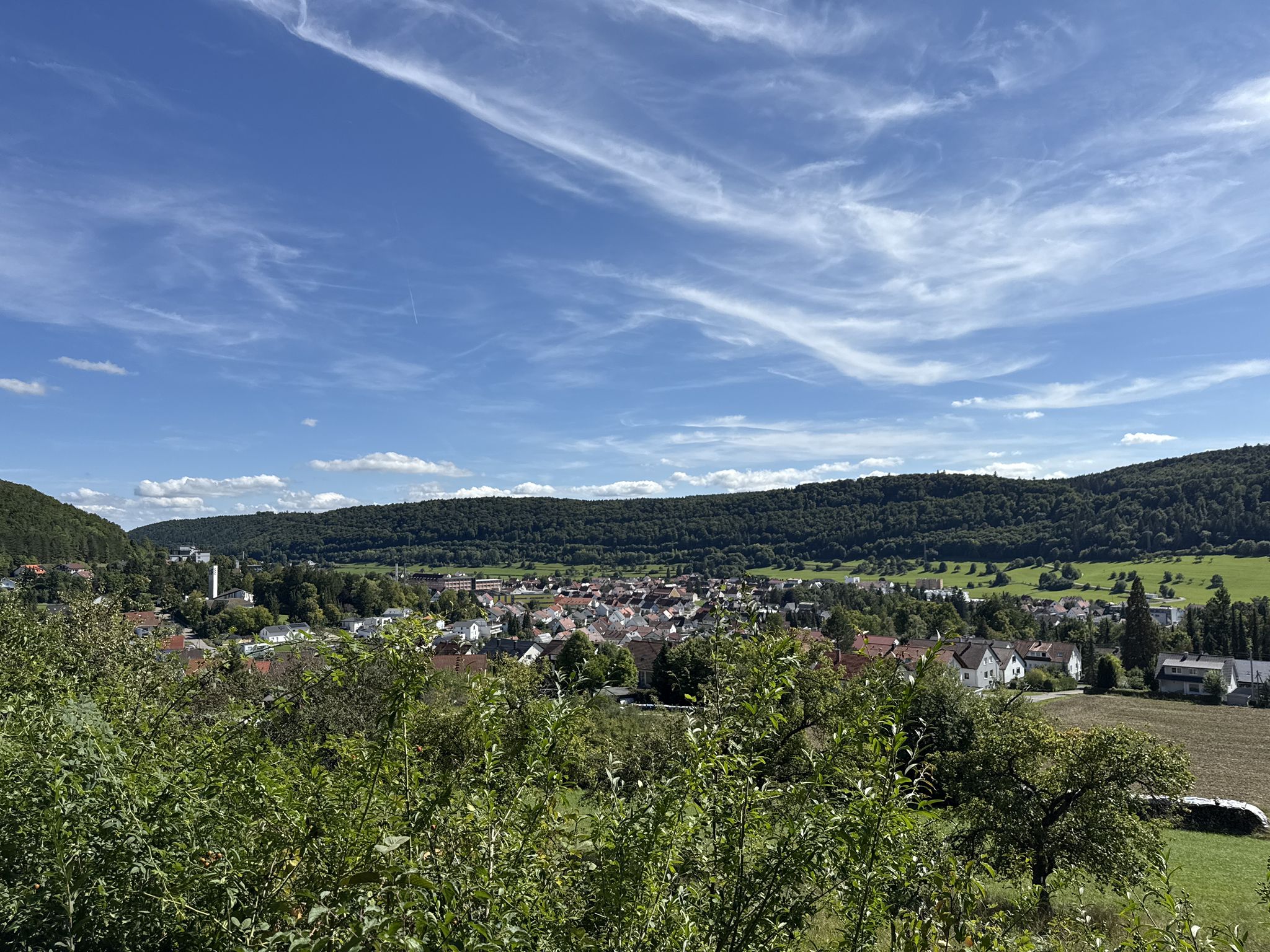 Schöne Aussicht auf Burladingen - Unterer Mettenbergweg 🏞 - Burladingen - Zollernalbkreis