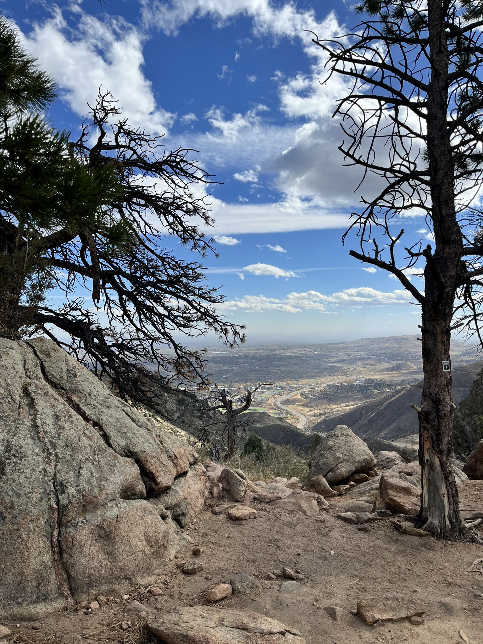 Rocky foreground with trees overlooking a vast valley under a cloudy sky. - Cedar Gulch, Mount Galbraith, and Nightbird Trail