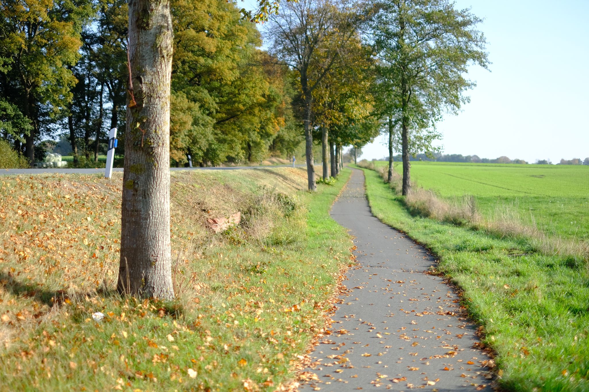 Gutes Fahren auf nicht immer guten Wegen