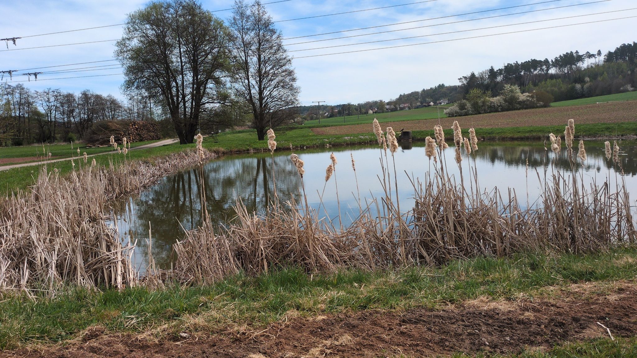 Weiher am Wegesrand