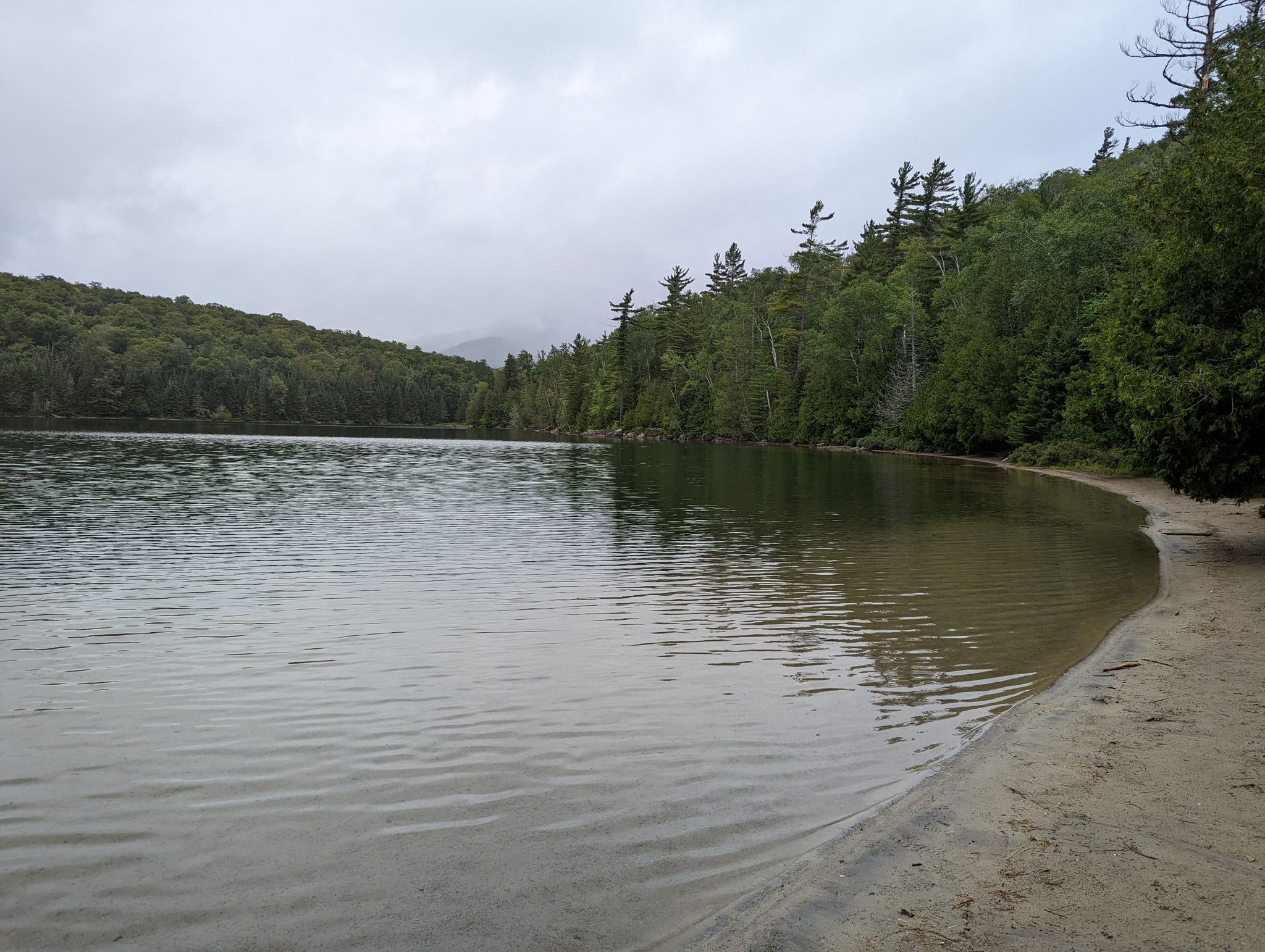 Calm lake with sandy shore, dense forest, and overcast sky. - Mount Marshall via Avalanche Pass