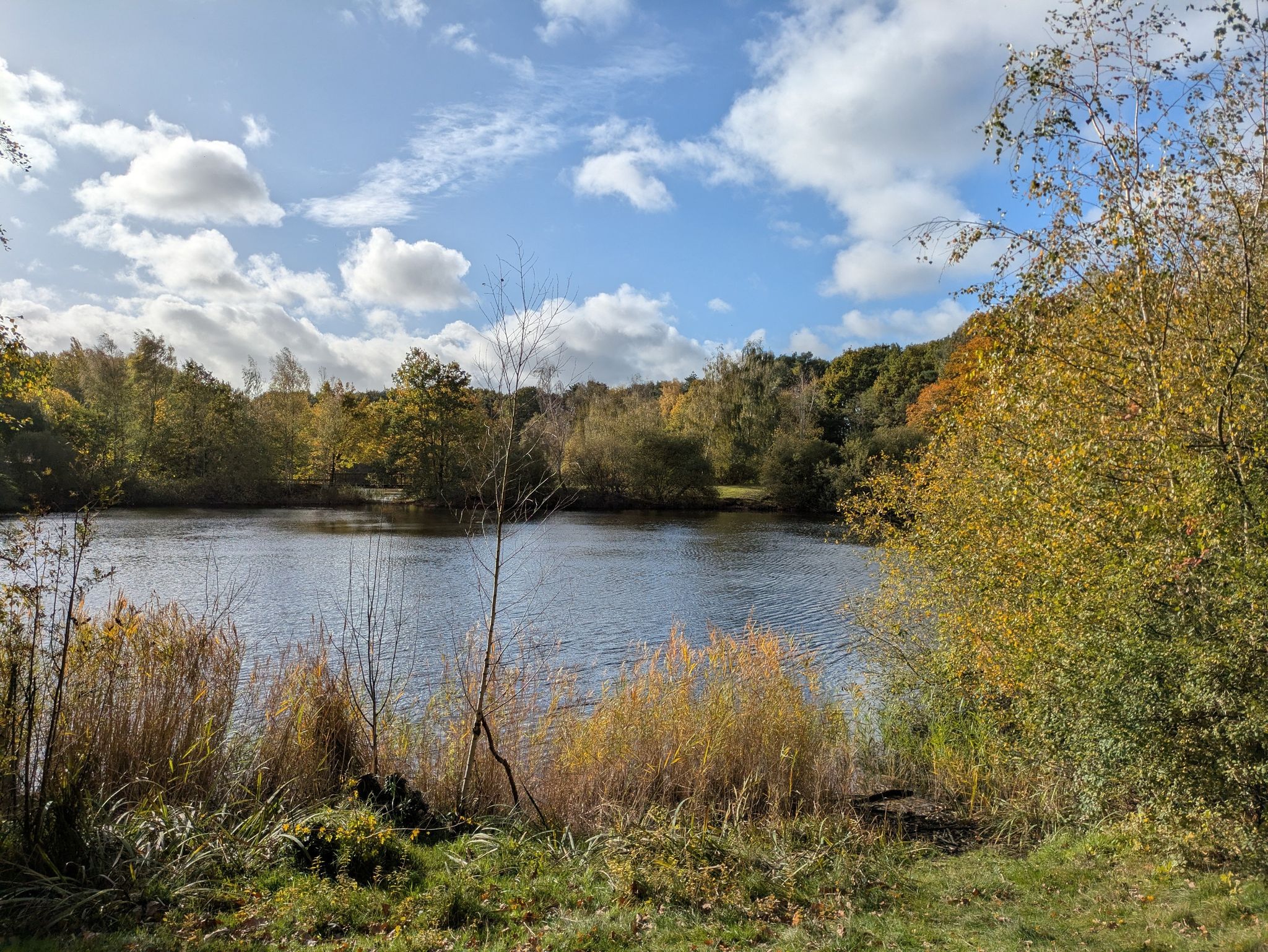 Telgenkamp-See