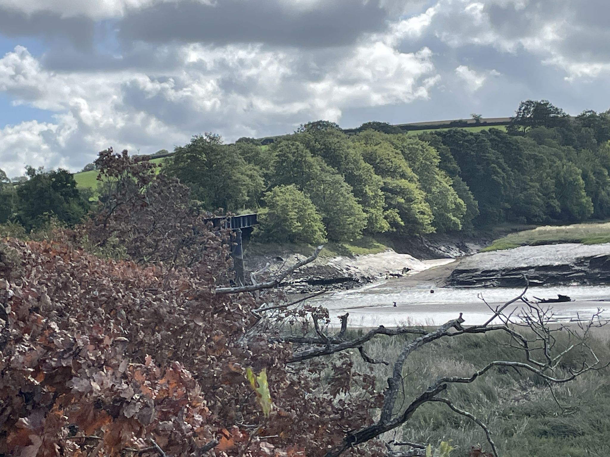River Torridge south of Bideford