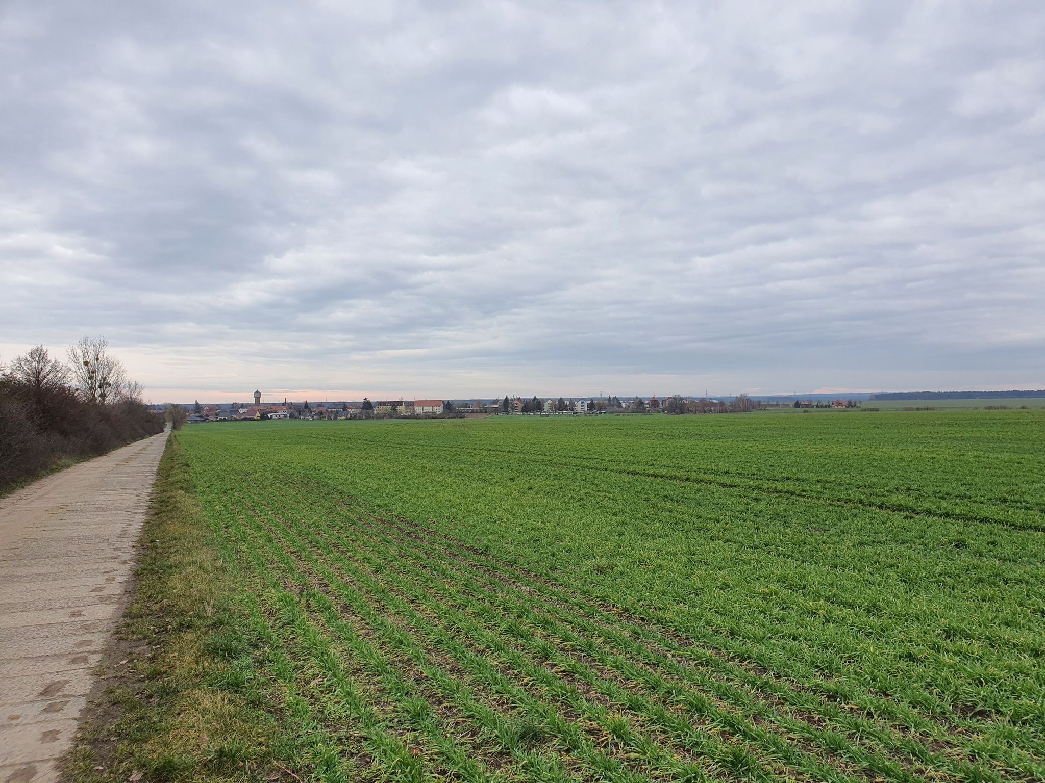 Blick auf Dahme