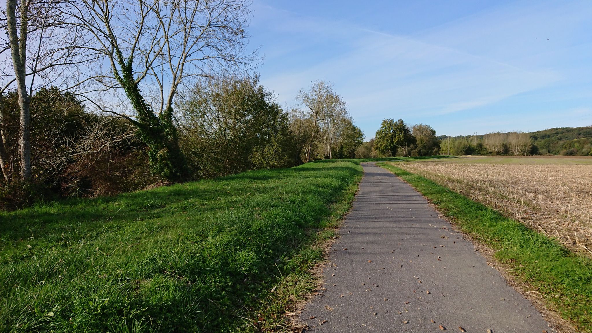 Le long de la Bidouze 