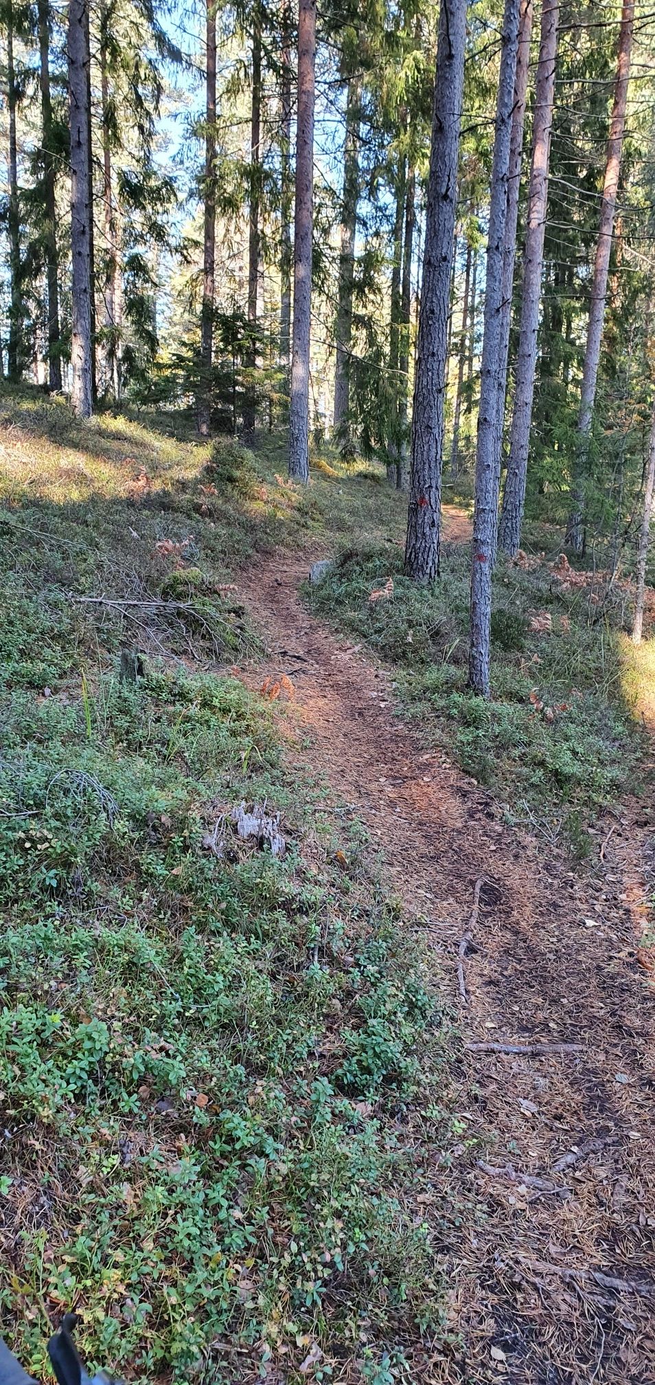 Flacksjö trail
