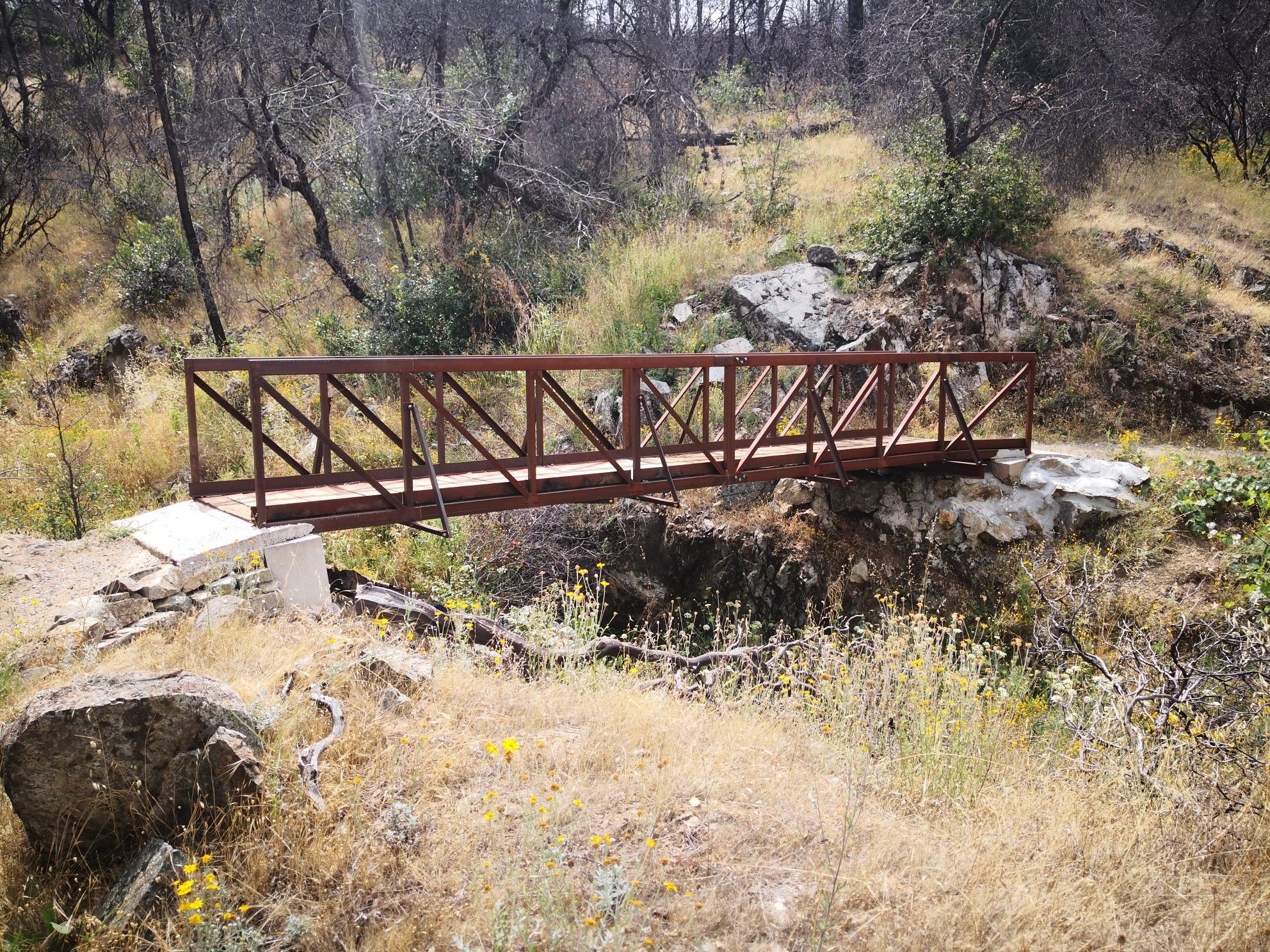Bridge - Stoney Gulch 