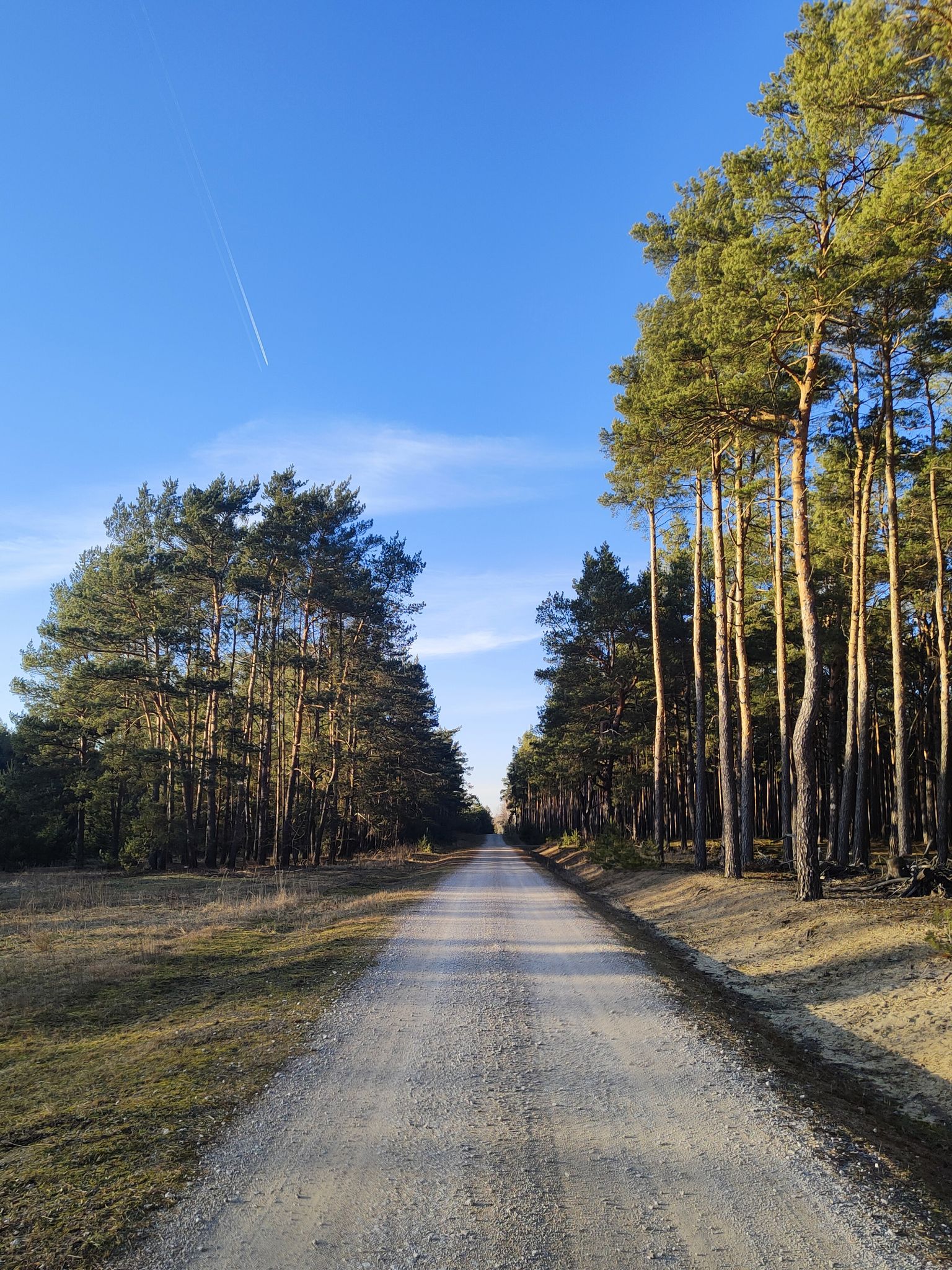 no piękny on, ten szuterek