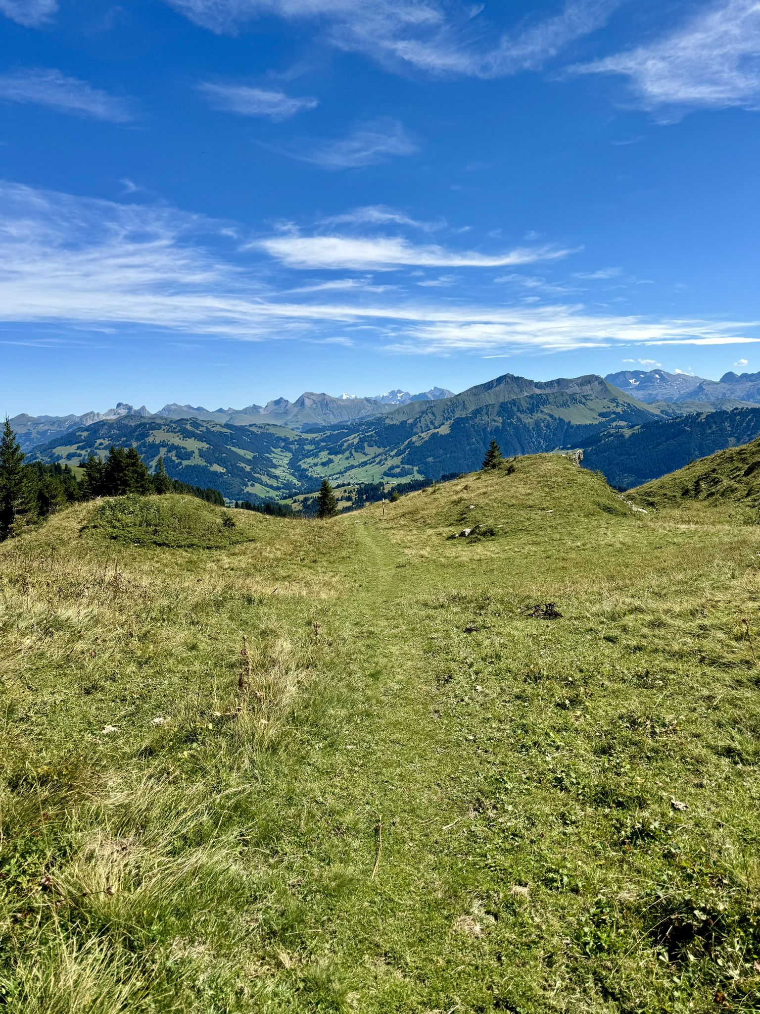Bestes Panorama bei Abstieg, Blick Richtung Gstaad und Giferspitz...