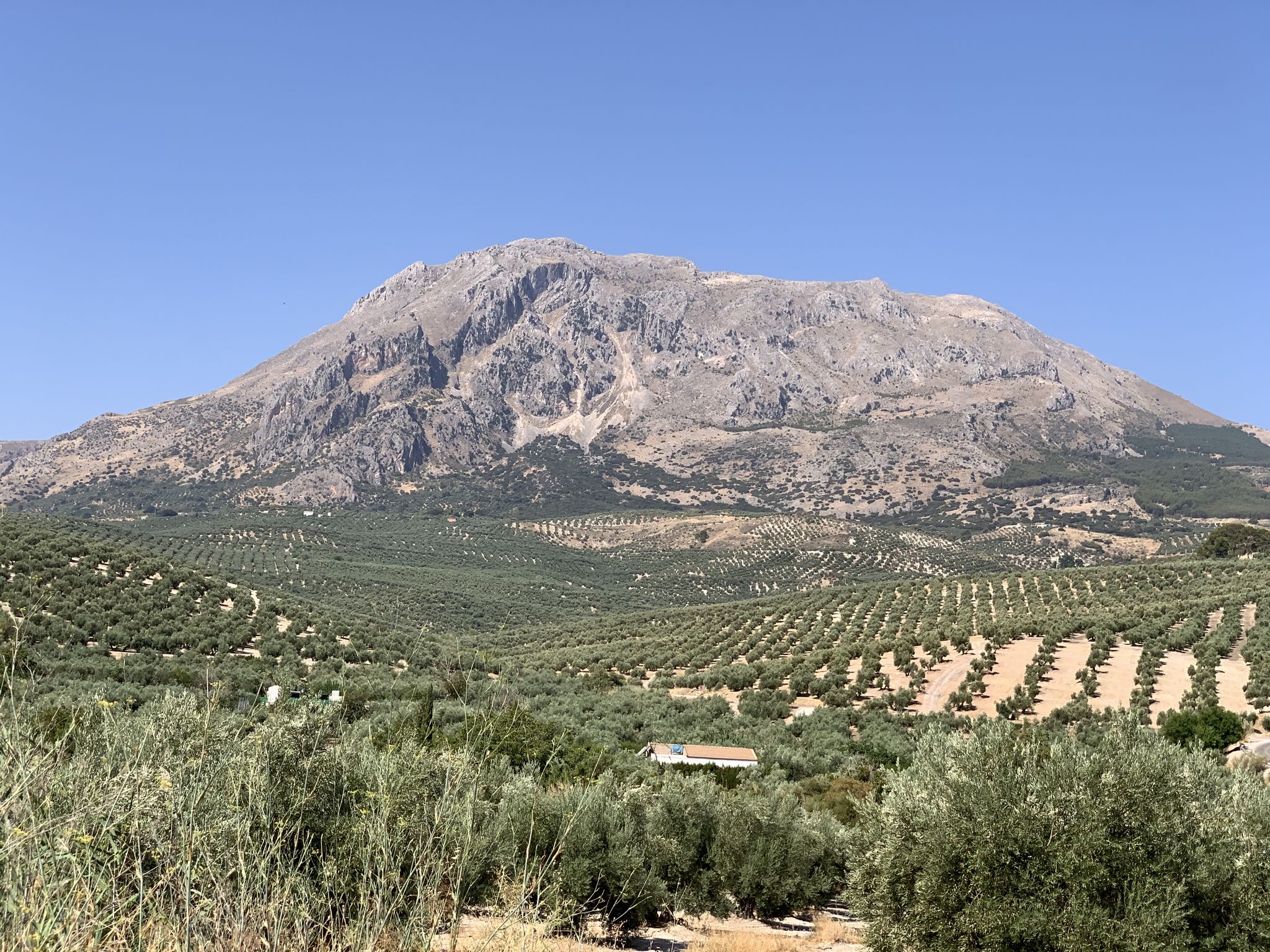 Cerro Aznatin de Albanchez