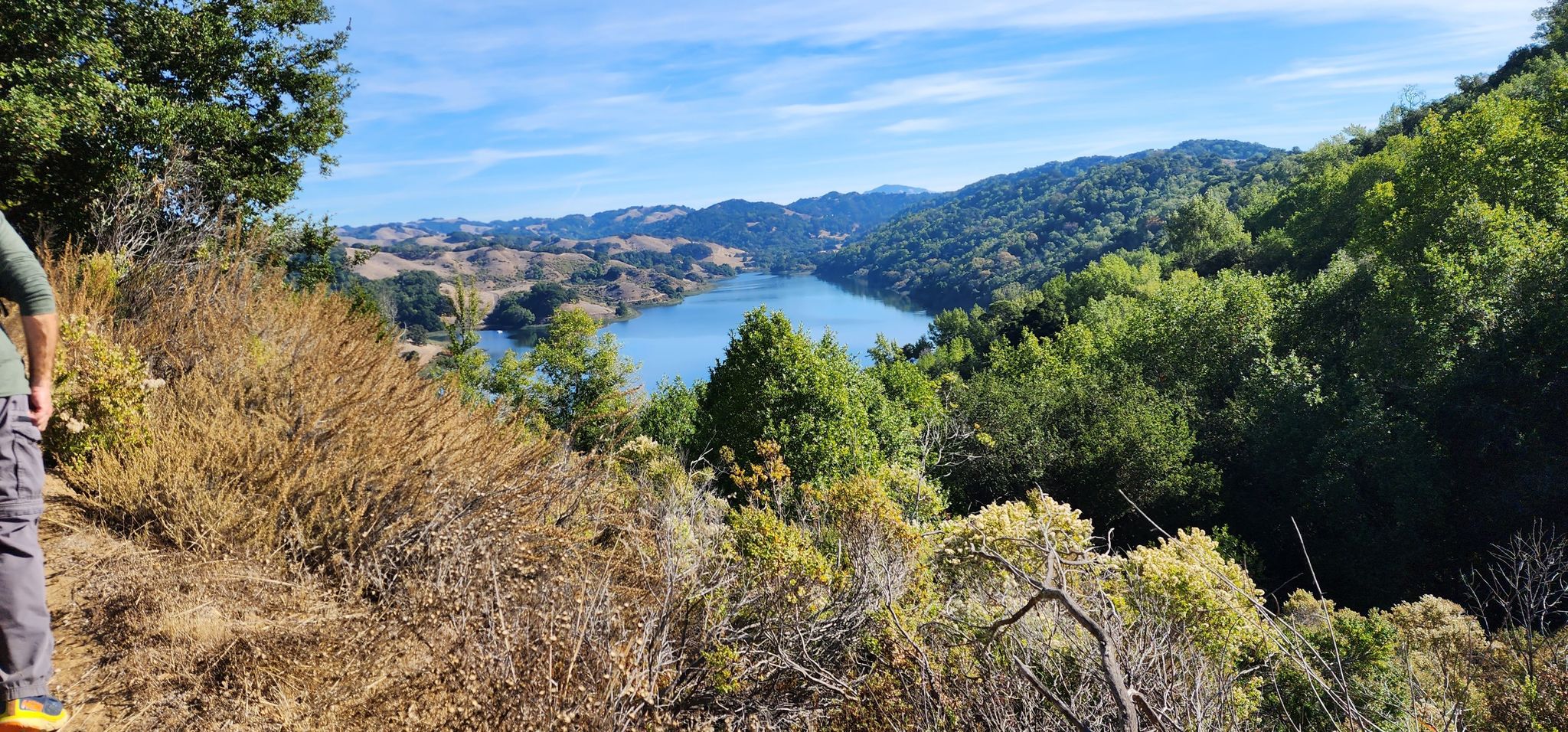 A person stands on a brushy hillside, overlooking a blue lake and green landscape. - Briones Overlook via Bear Creek Trail