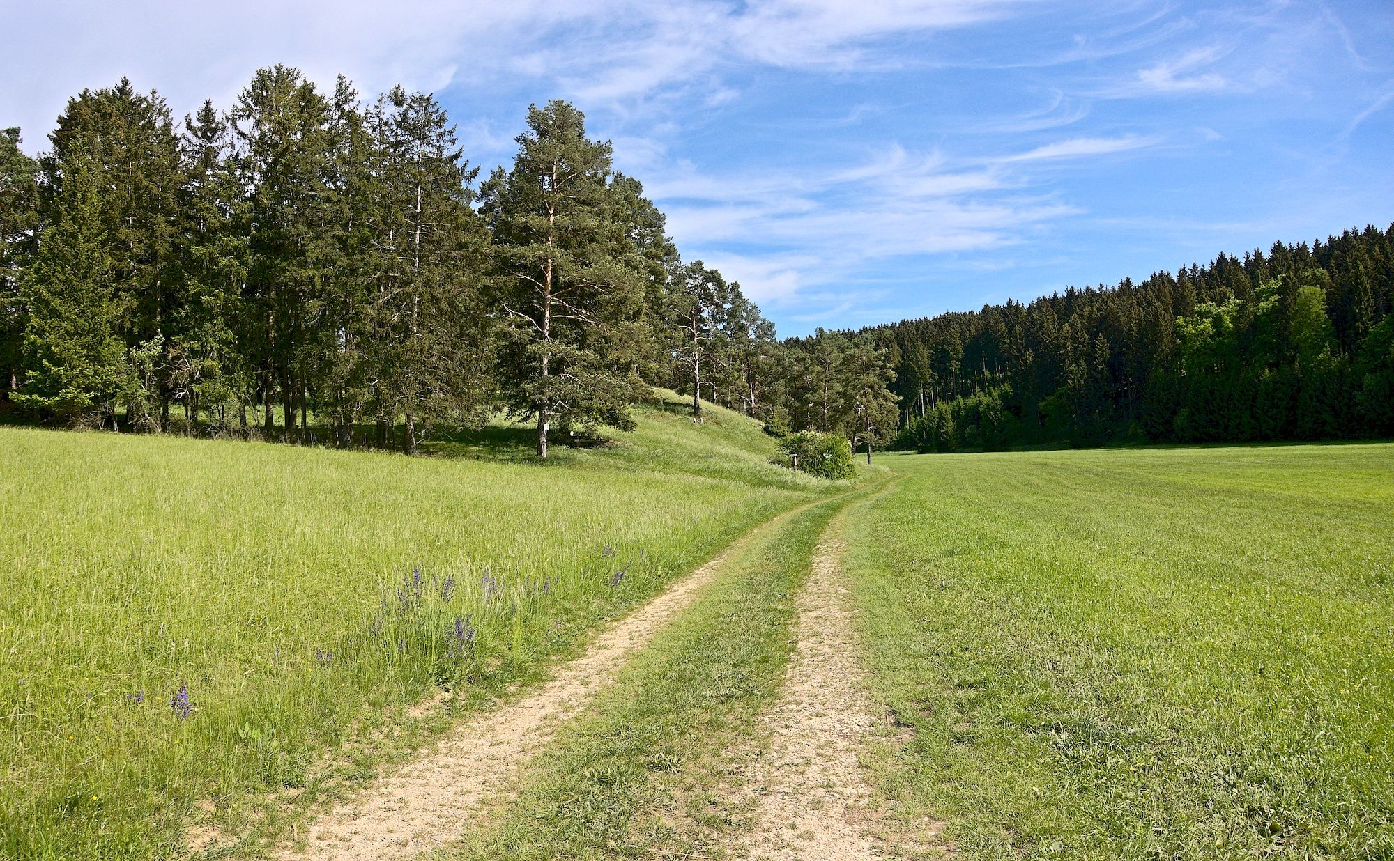 Noch ein malerischer Streckenverlauf durch das Hungerbrunnental