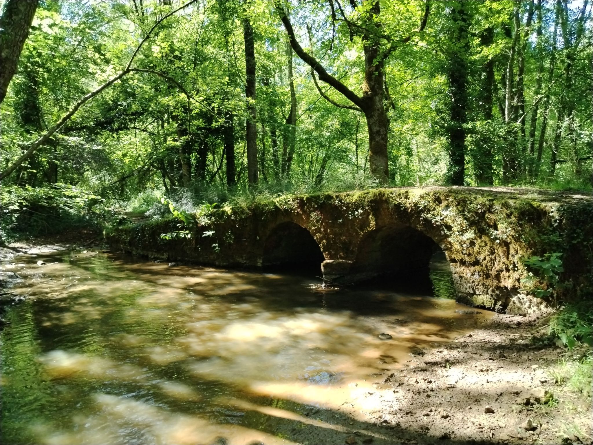pont