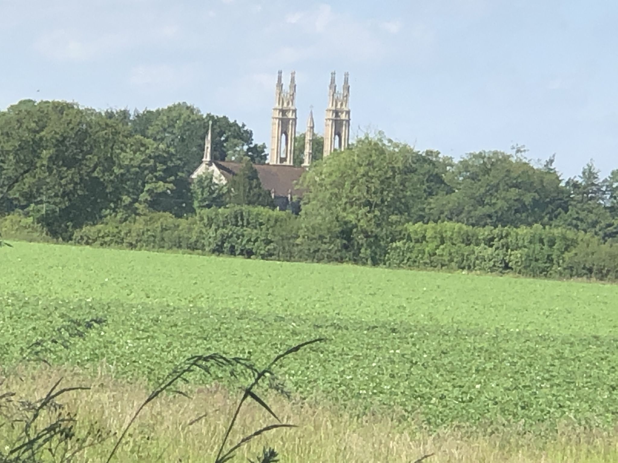 Biotin church