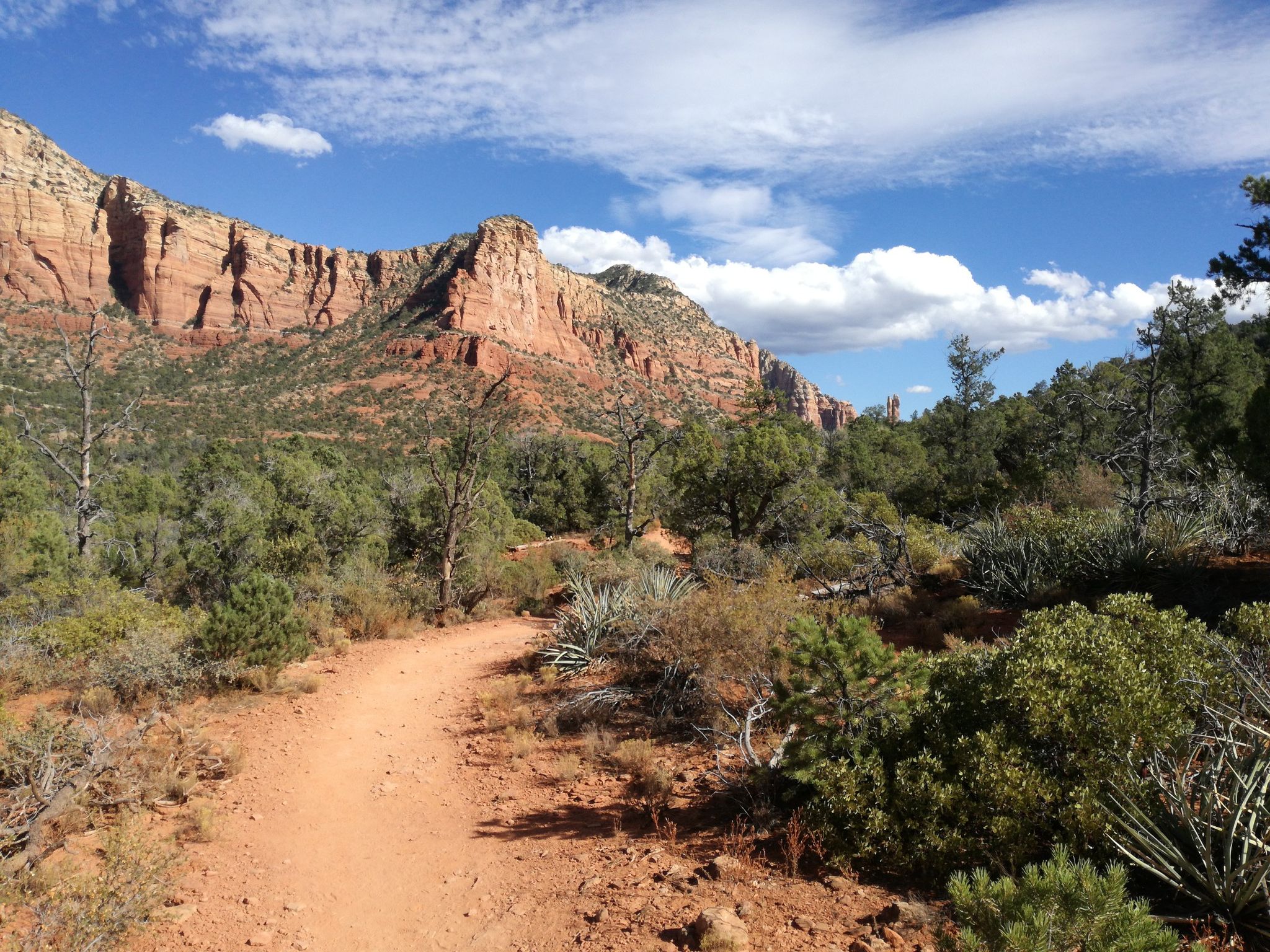 Dirt path winding through green desert brush with red rock cliffs in background. - Courthouse Butte and Bell Rock Loop Trail