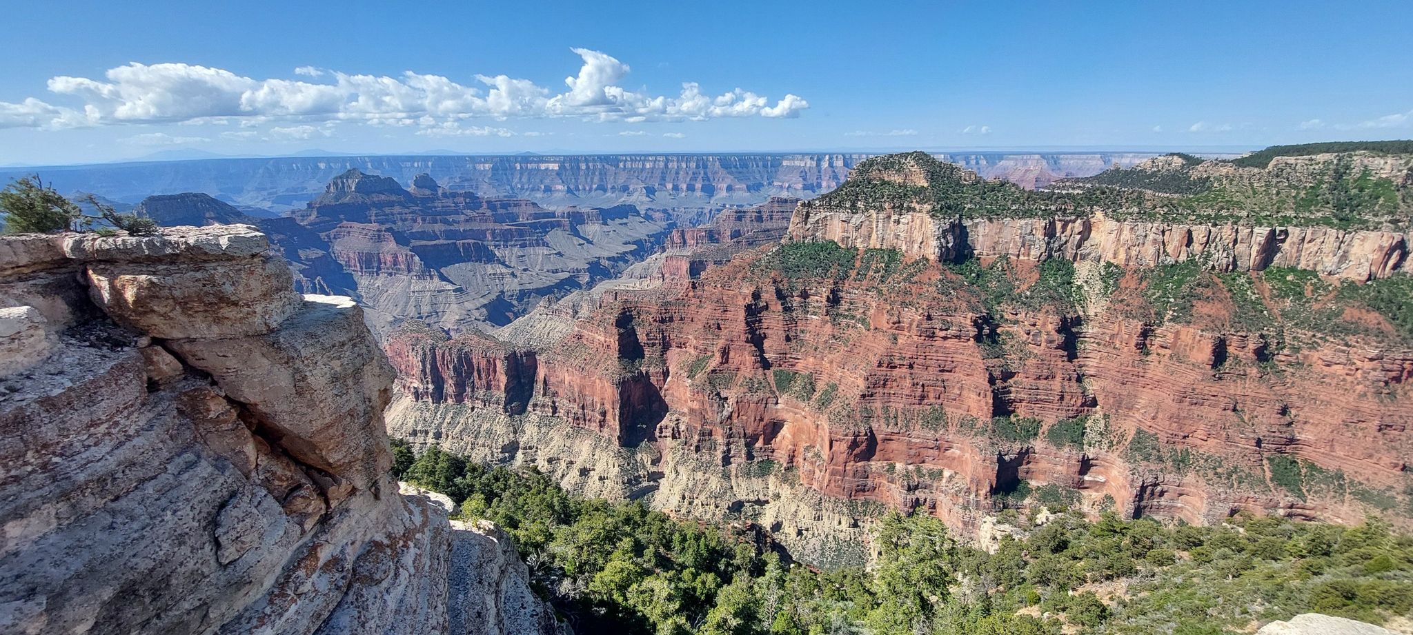 Panoramic view of a deep canyon with colorful rock layers under a clear sky. - Transept Trail